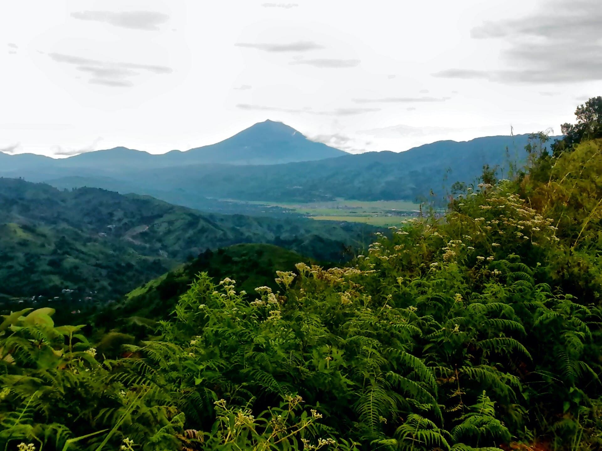 The Kerinci valley from Bukit Kayangan