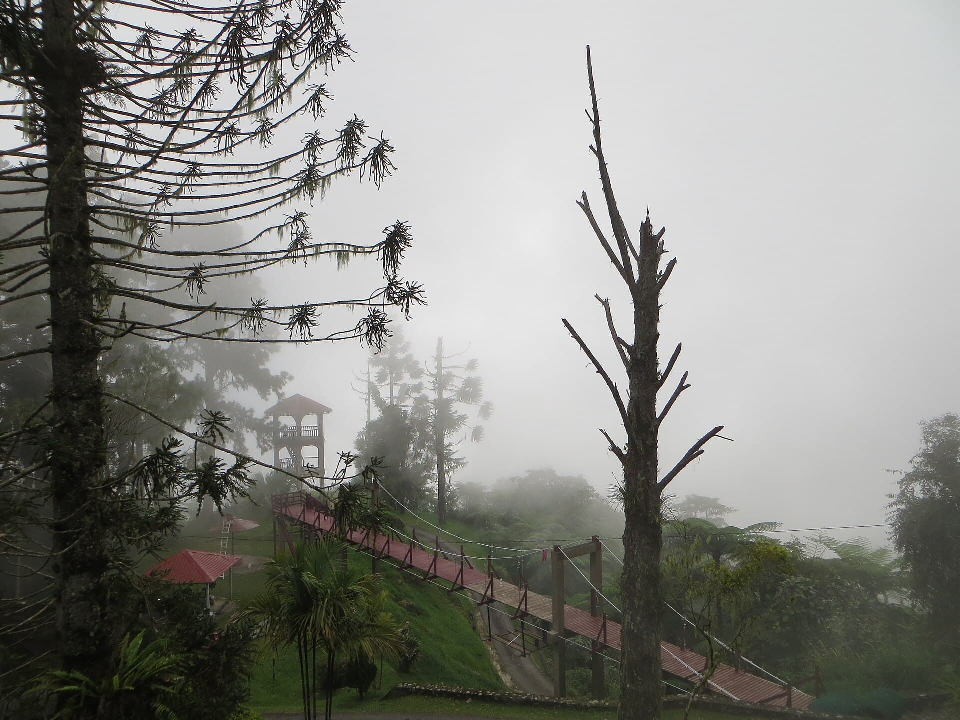 Bukit Larut above Taiping