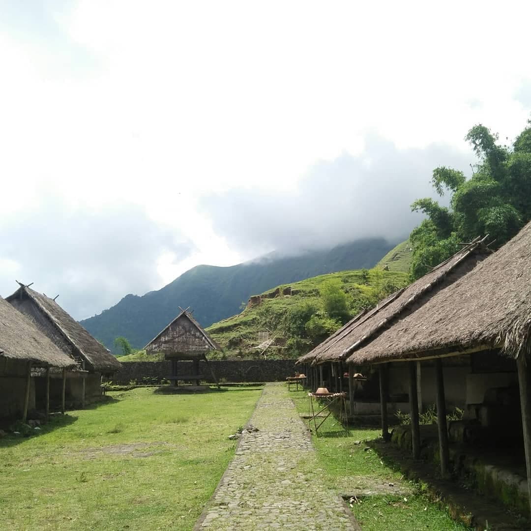 Sembalun valley from Bukit Selong