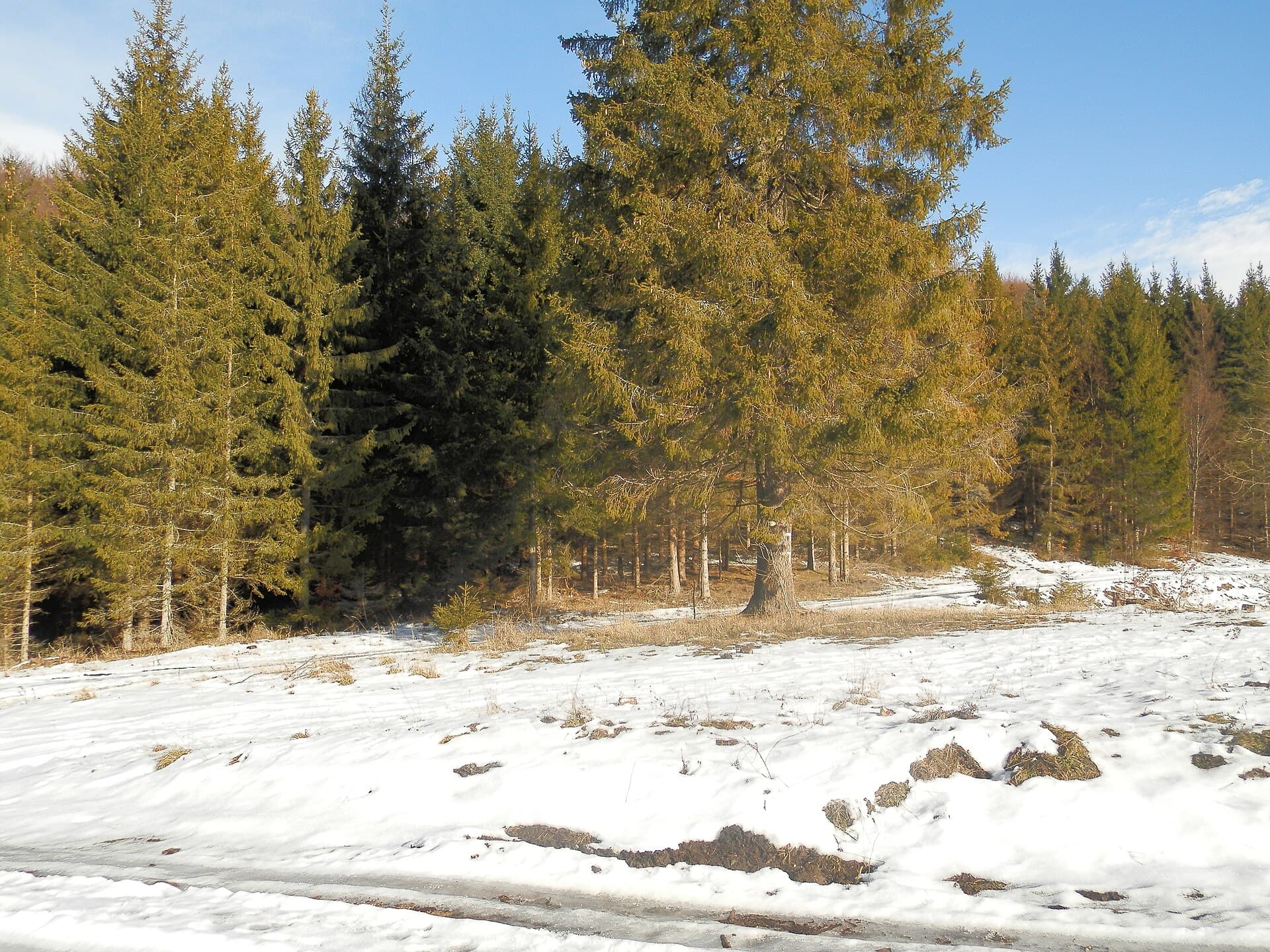 Bükk National Park, Northern Hungary