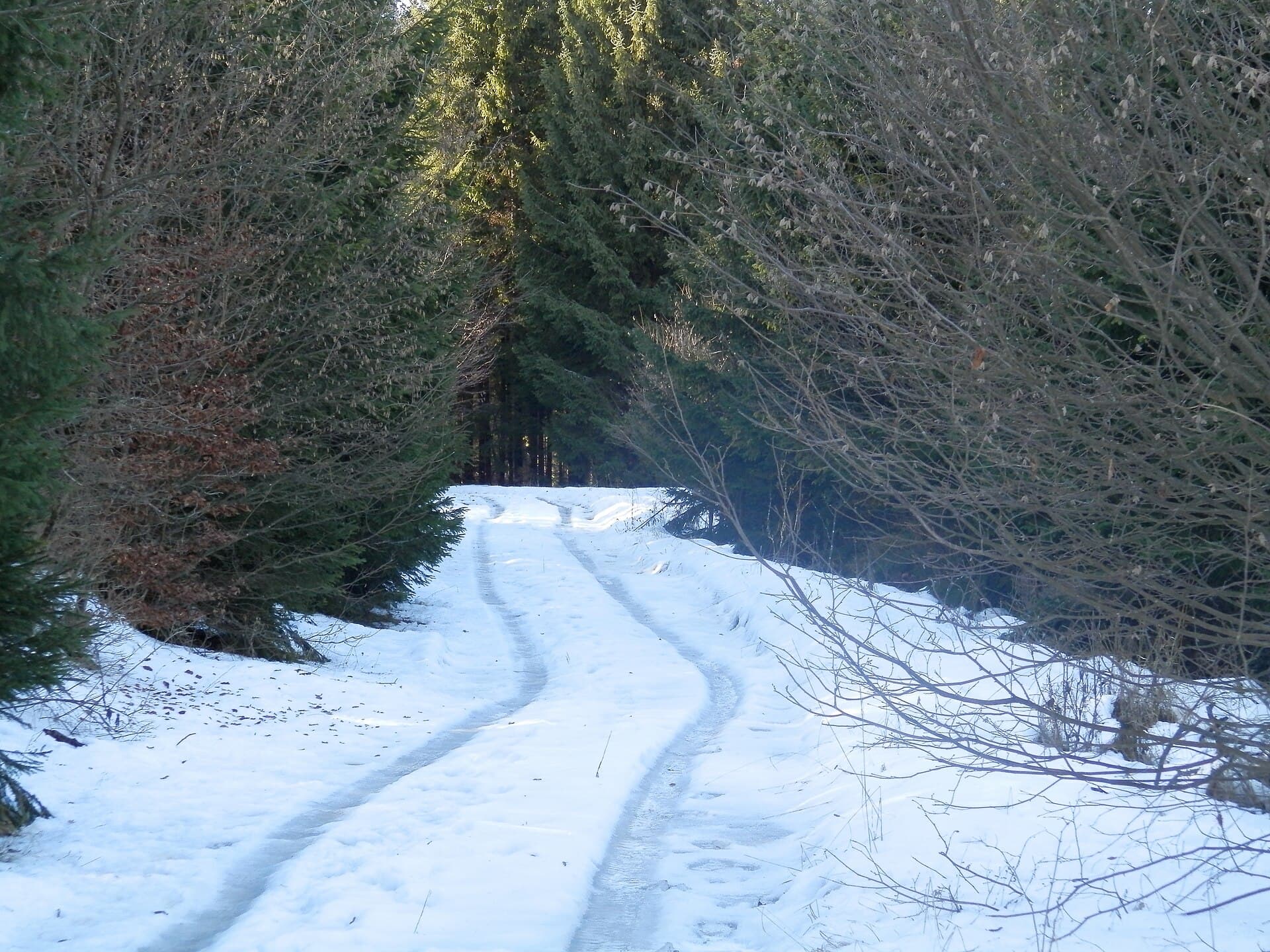Bükk National Park, Northern Hungary