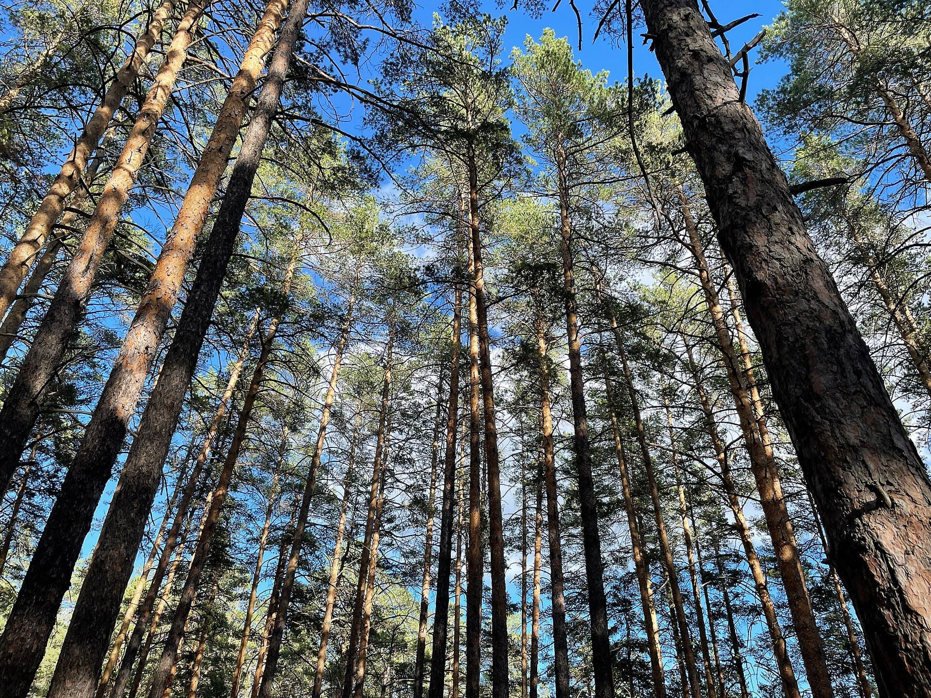 Burabay National Park