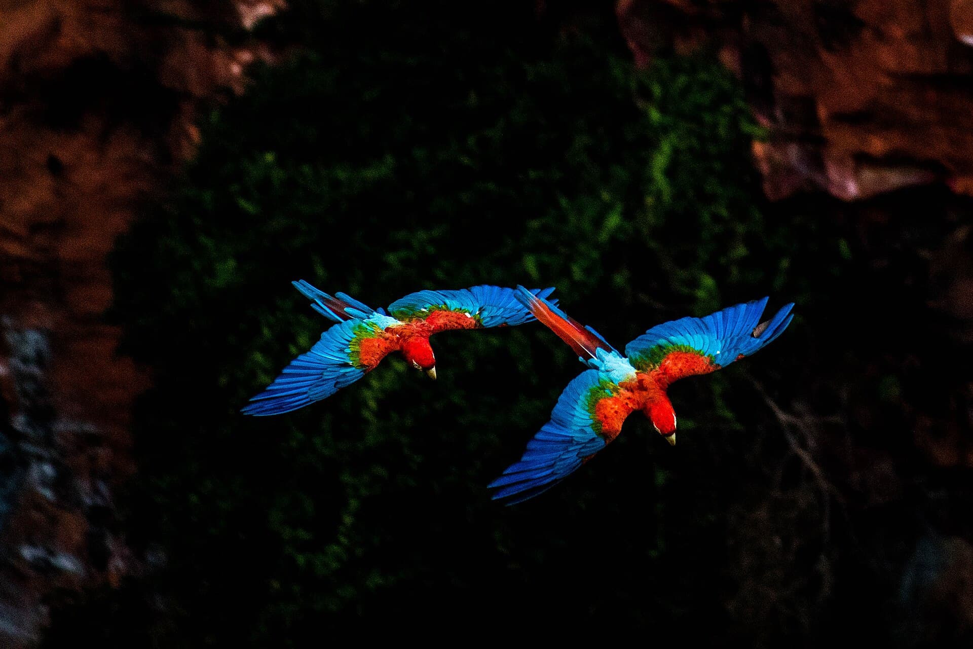Buraco das Araras (Macaw Sinkhole), Bonito