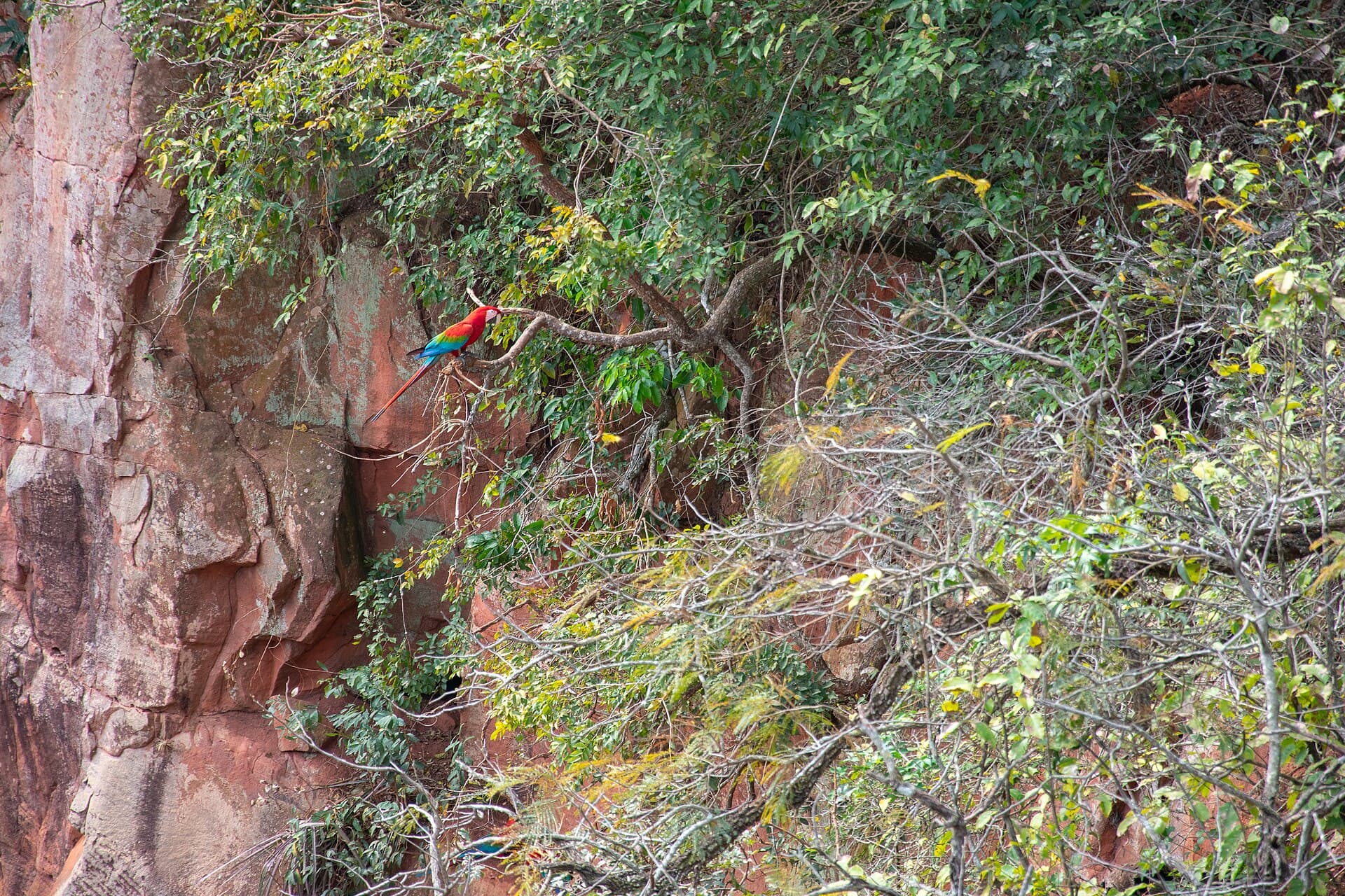 Buraco das Araras (Macaw Sinkhole), Bonito