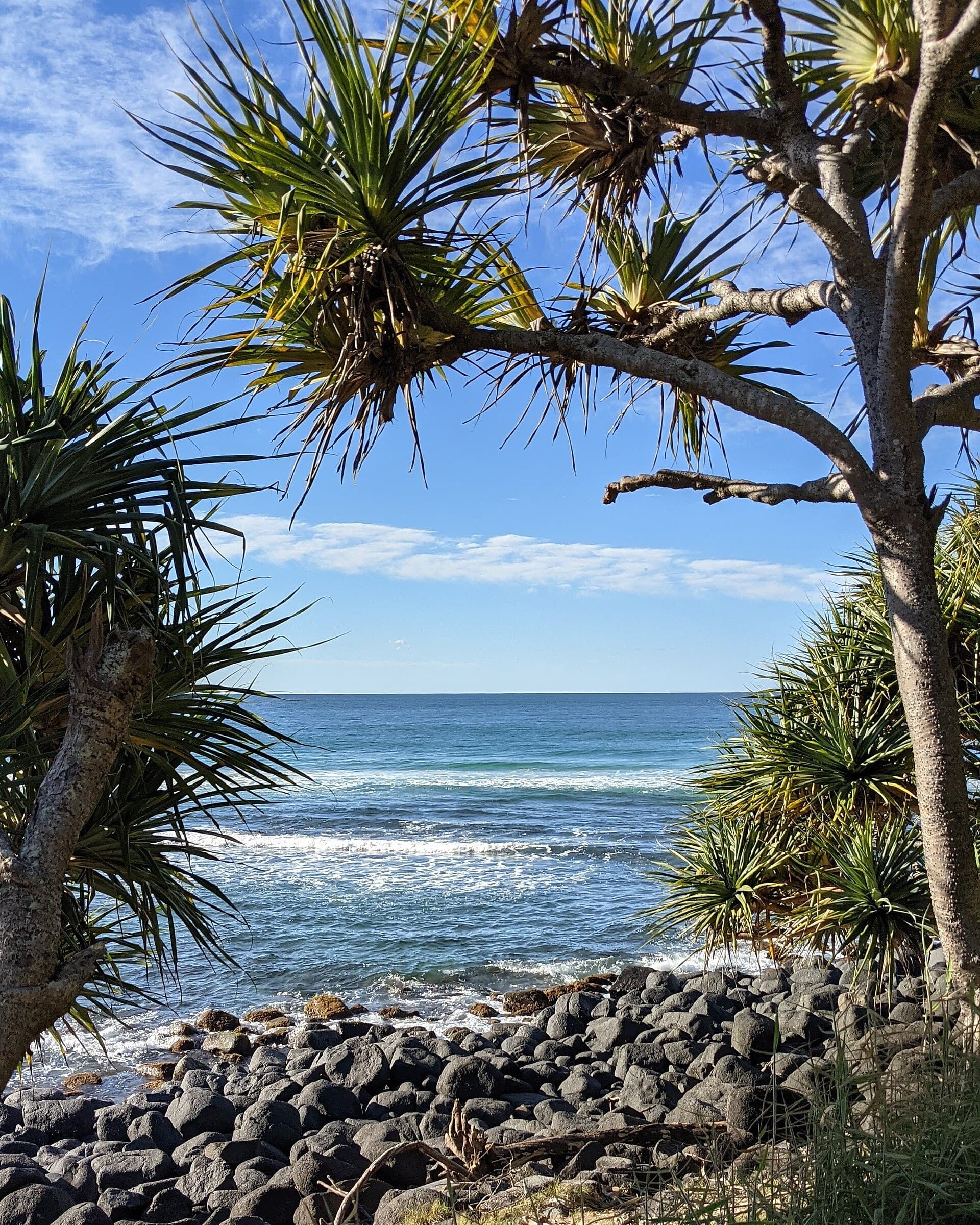 Burleigh Head National Park