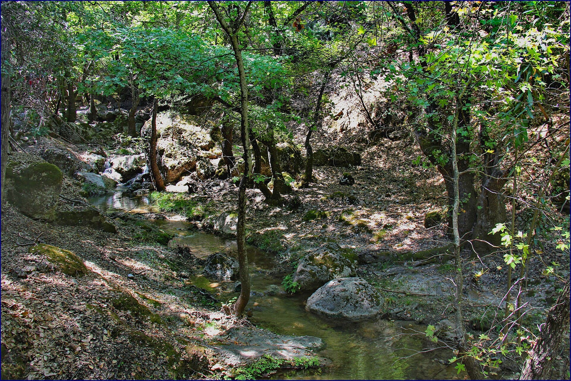 The Valley of the Butterflies (Petaloudes), Rhodes
