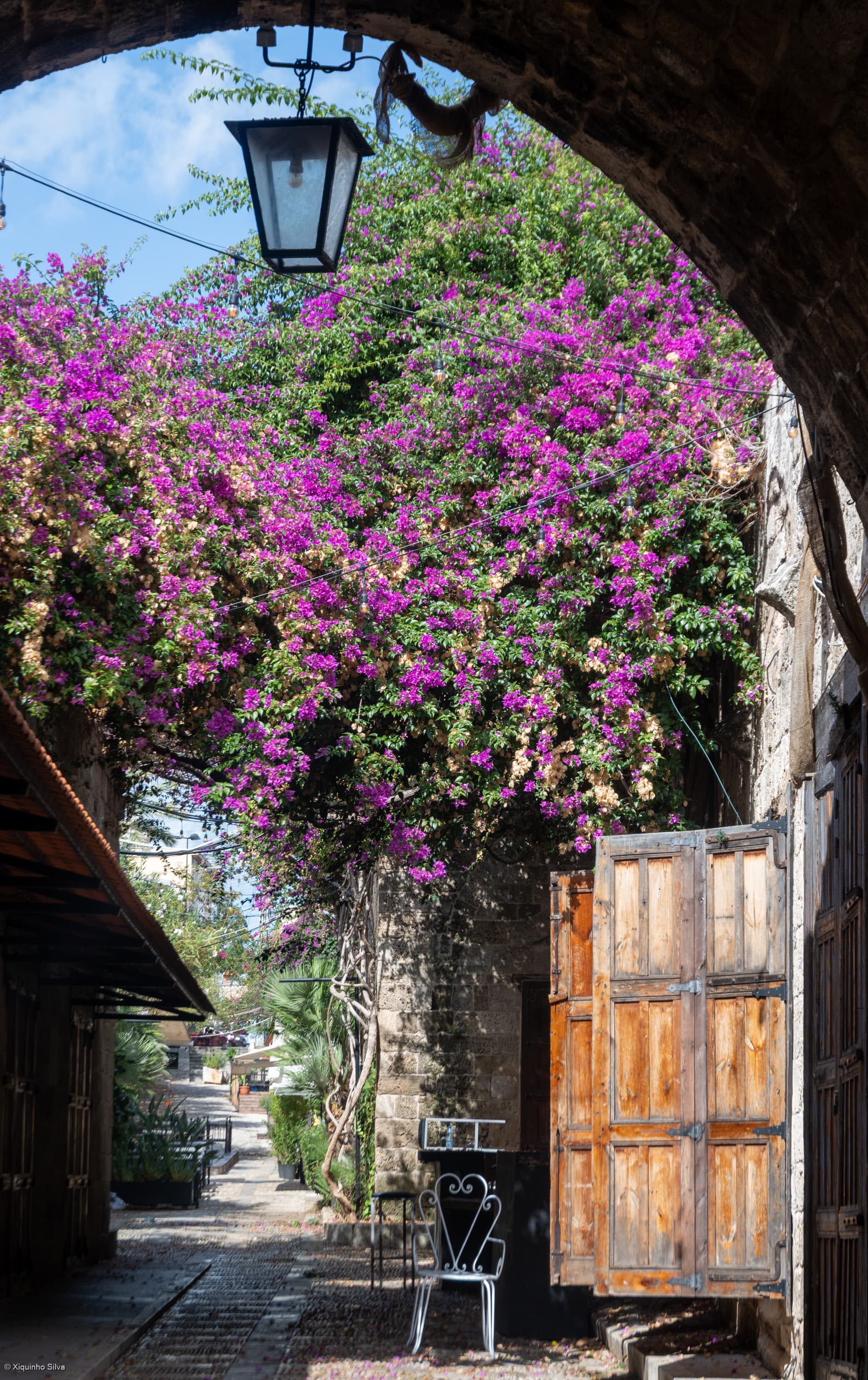 Byblos Old Souk and Harbour