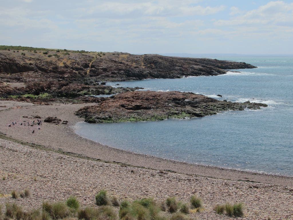 Cabo Dos Bahías (Penguin Reserve)