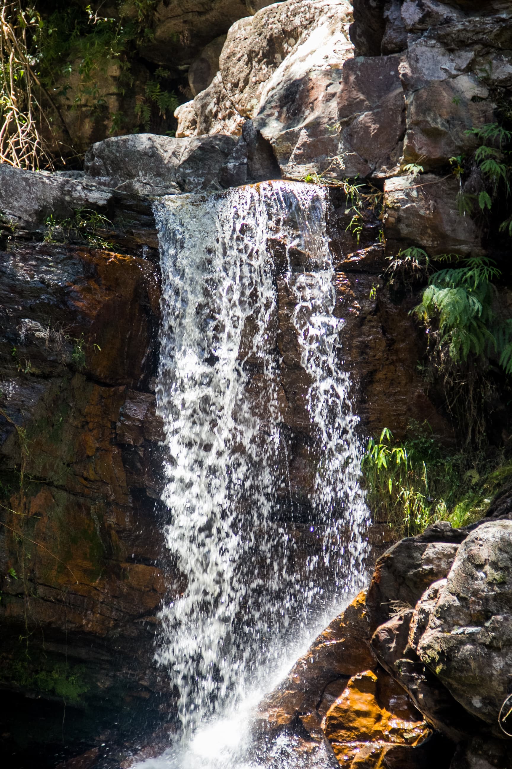 Cachoeira da Purificação, Palmeiras