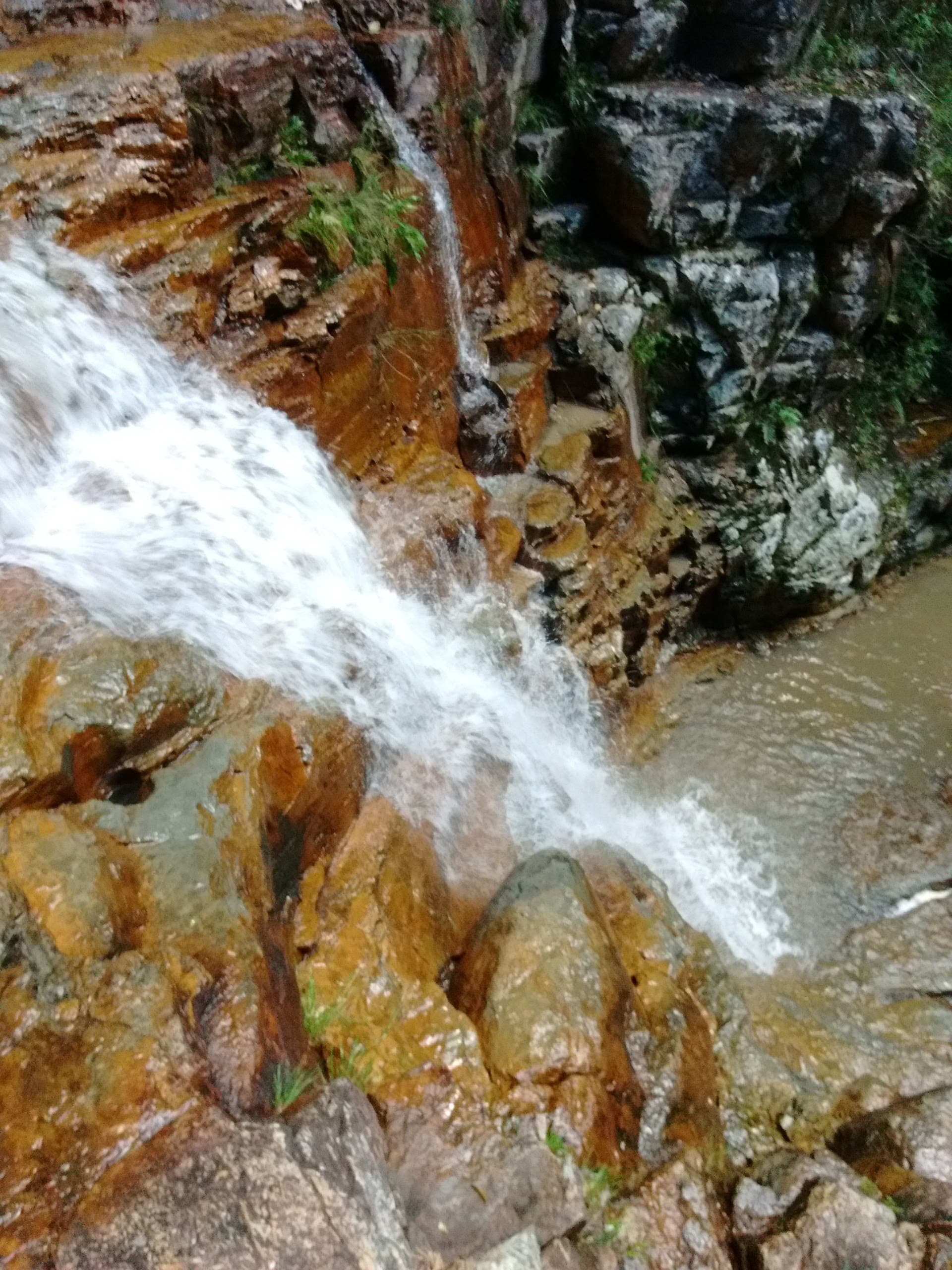 Cachoeira da Purificação, Palmeiras