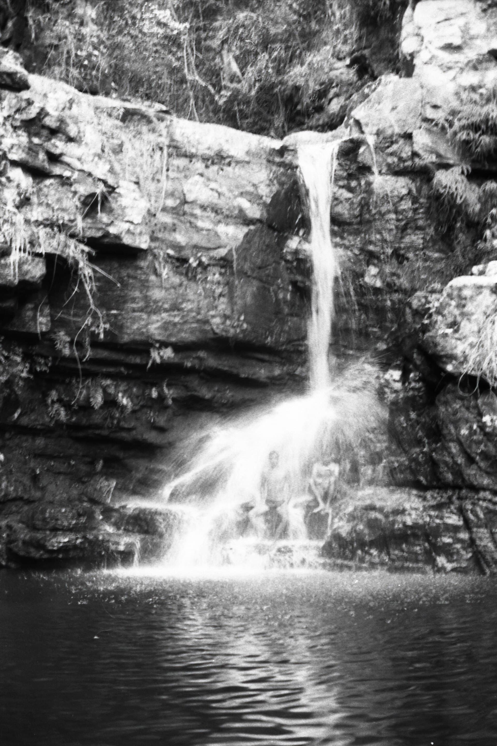 Cachoeira da Purificação, Palmeiras
