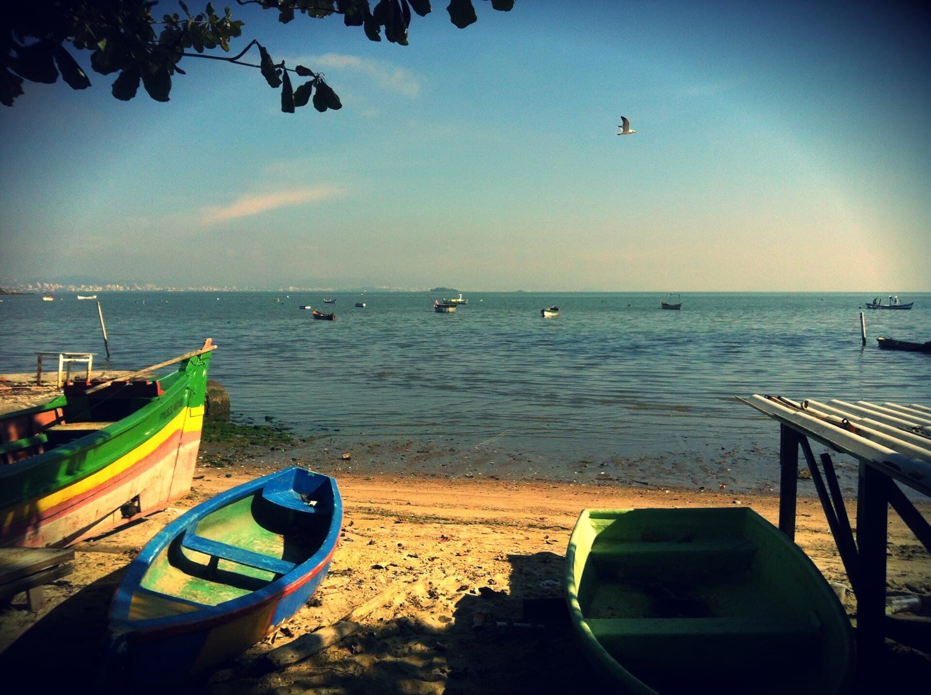 Cacupé, Florianópolis