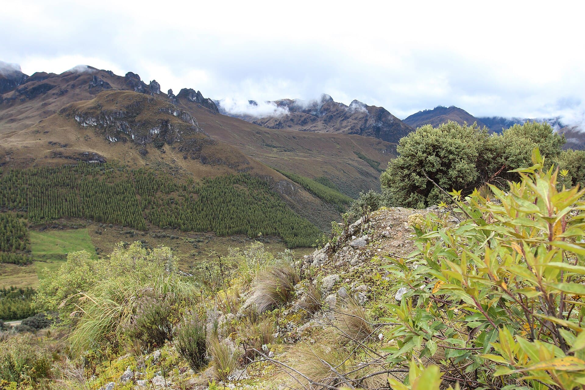 El Cajas National Park, Cuenca