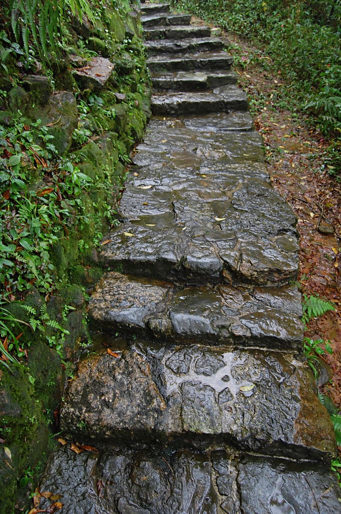 Calçada do Lorena, Serra do Mar