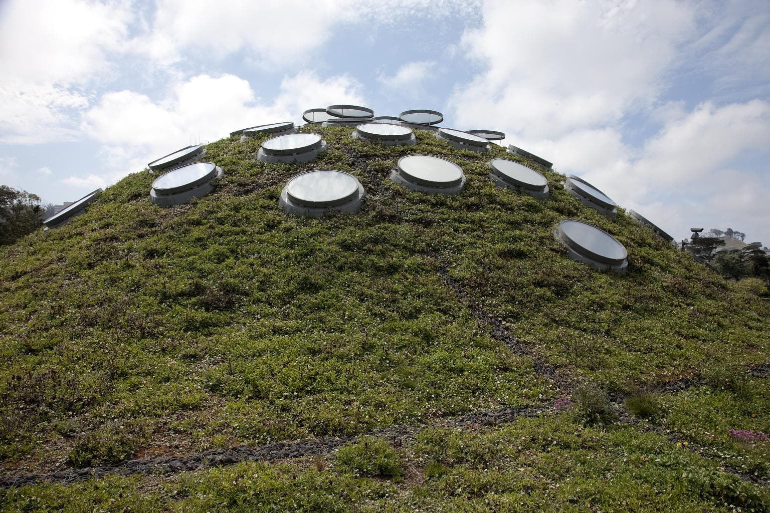 California Academy of Sciences