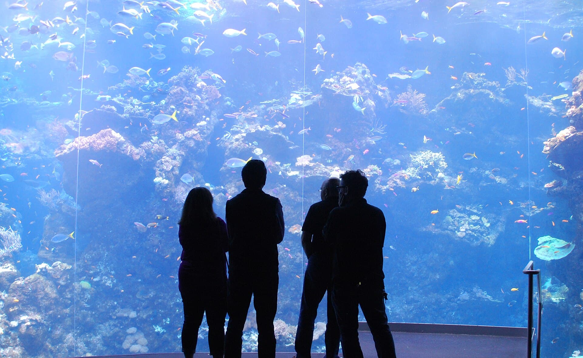 California Academy of Sciences