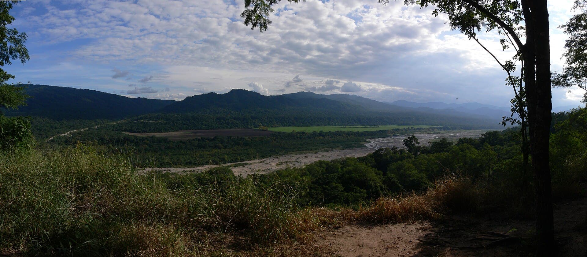Calilegua National Park (Yungas cloud forest), San Salvador de Jujuy