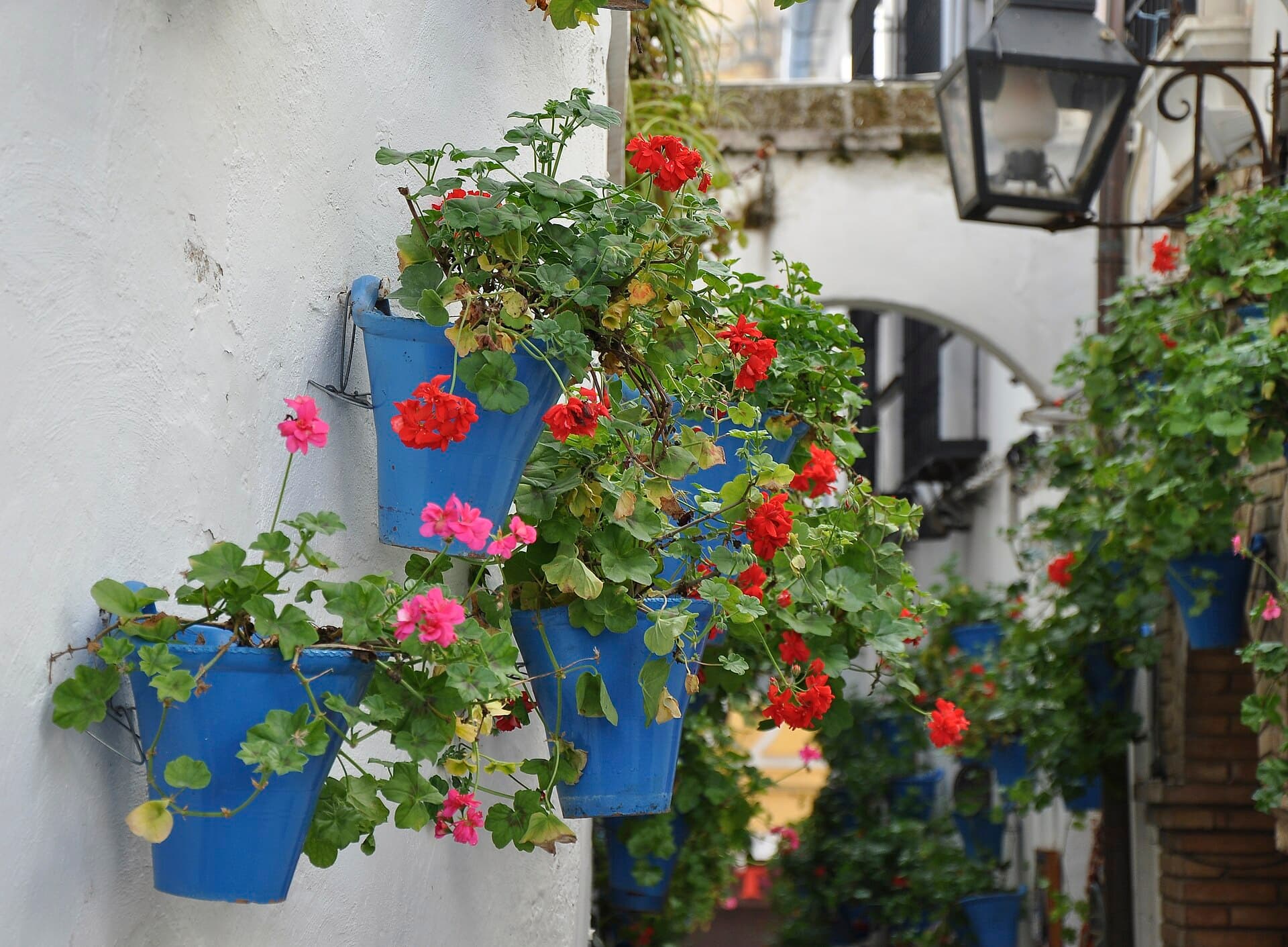 Calleja de las Flores, Córdoba