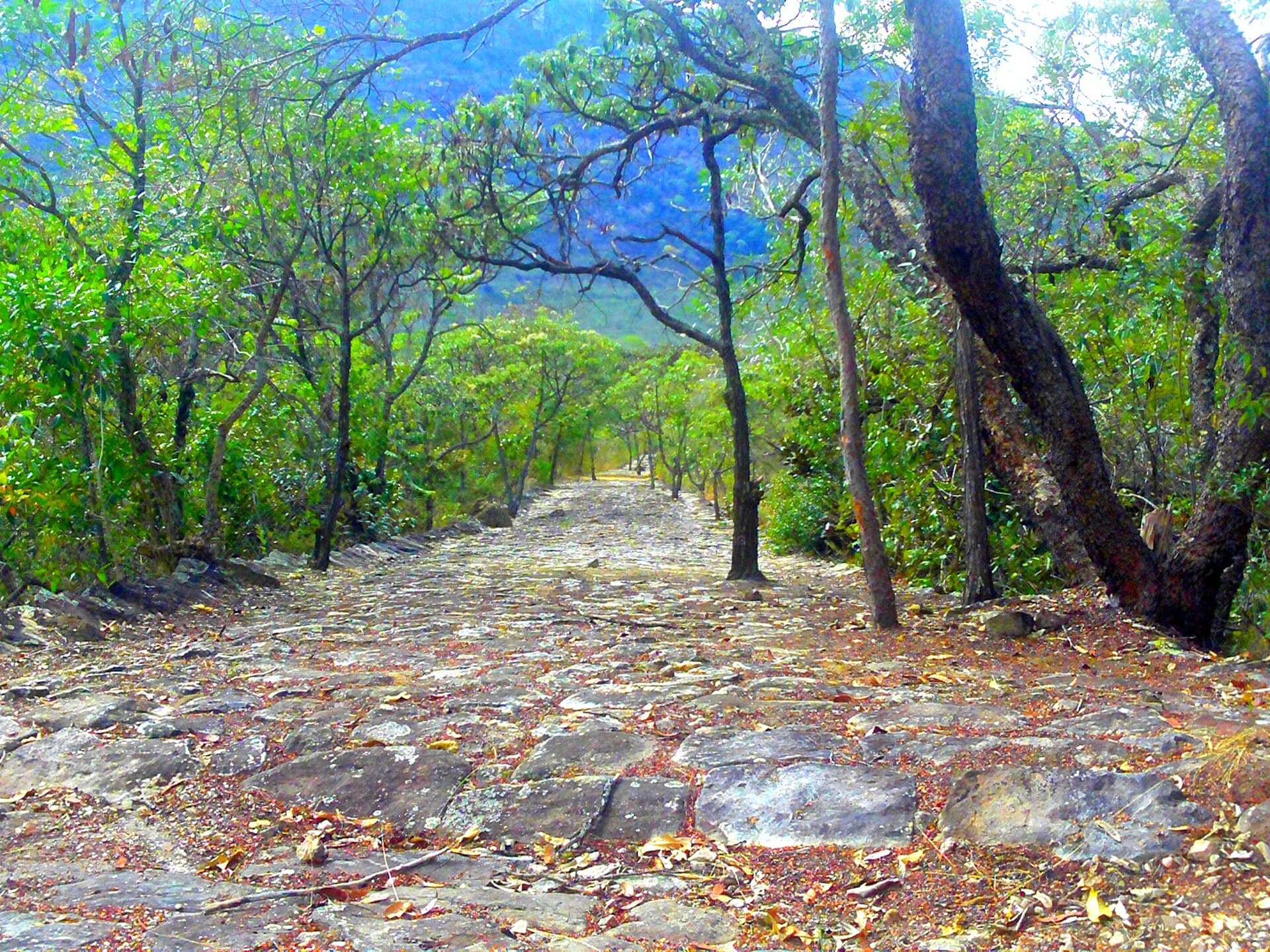 Caminho dos Escravos, Diamantina