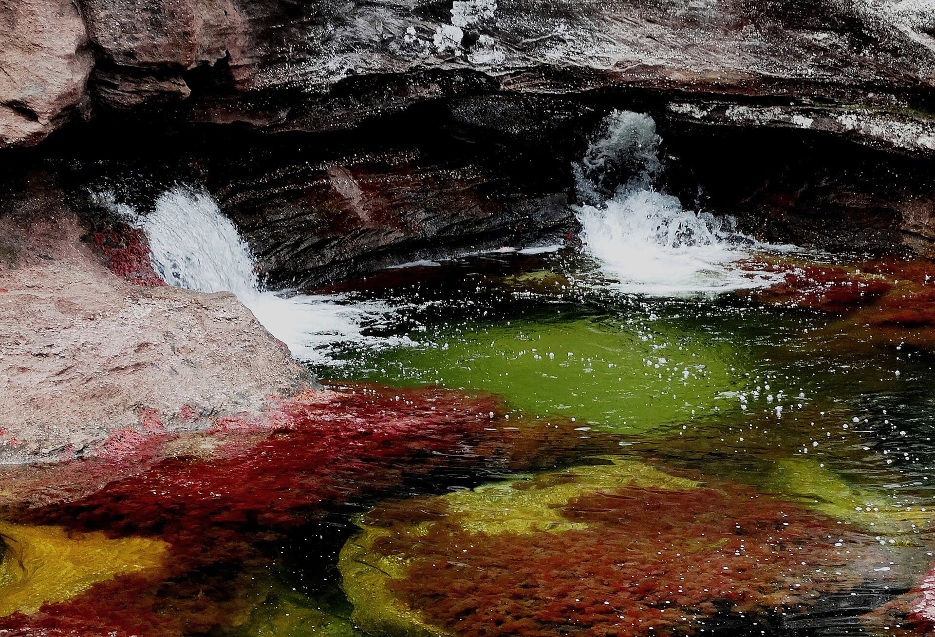 Caño Cristales