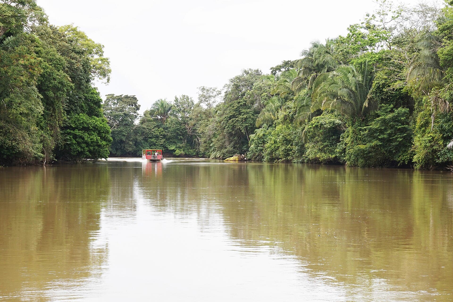 Caño Negro wildlife refuge