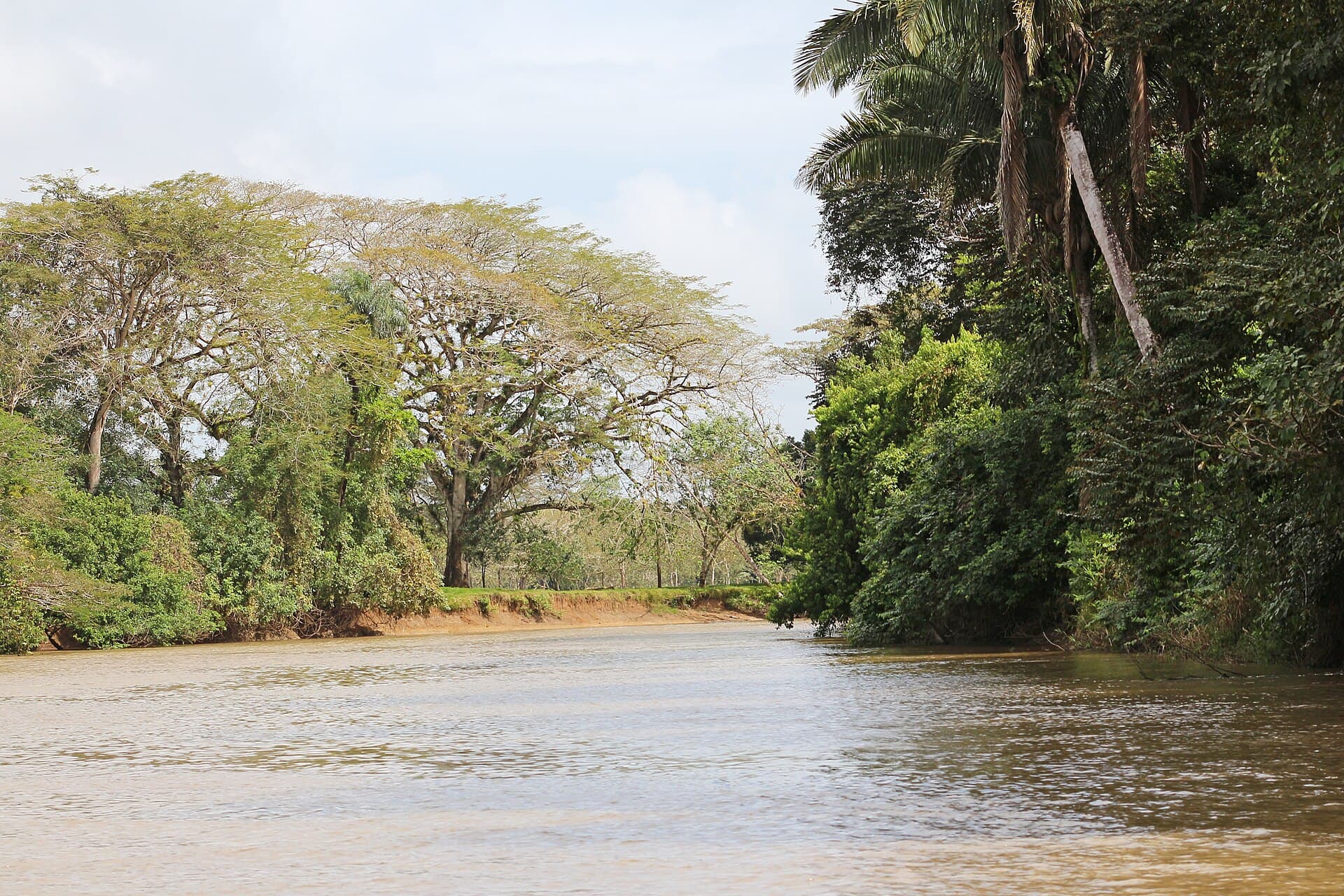 Caño Negro wildlife refuge