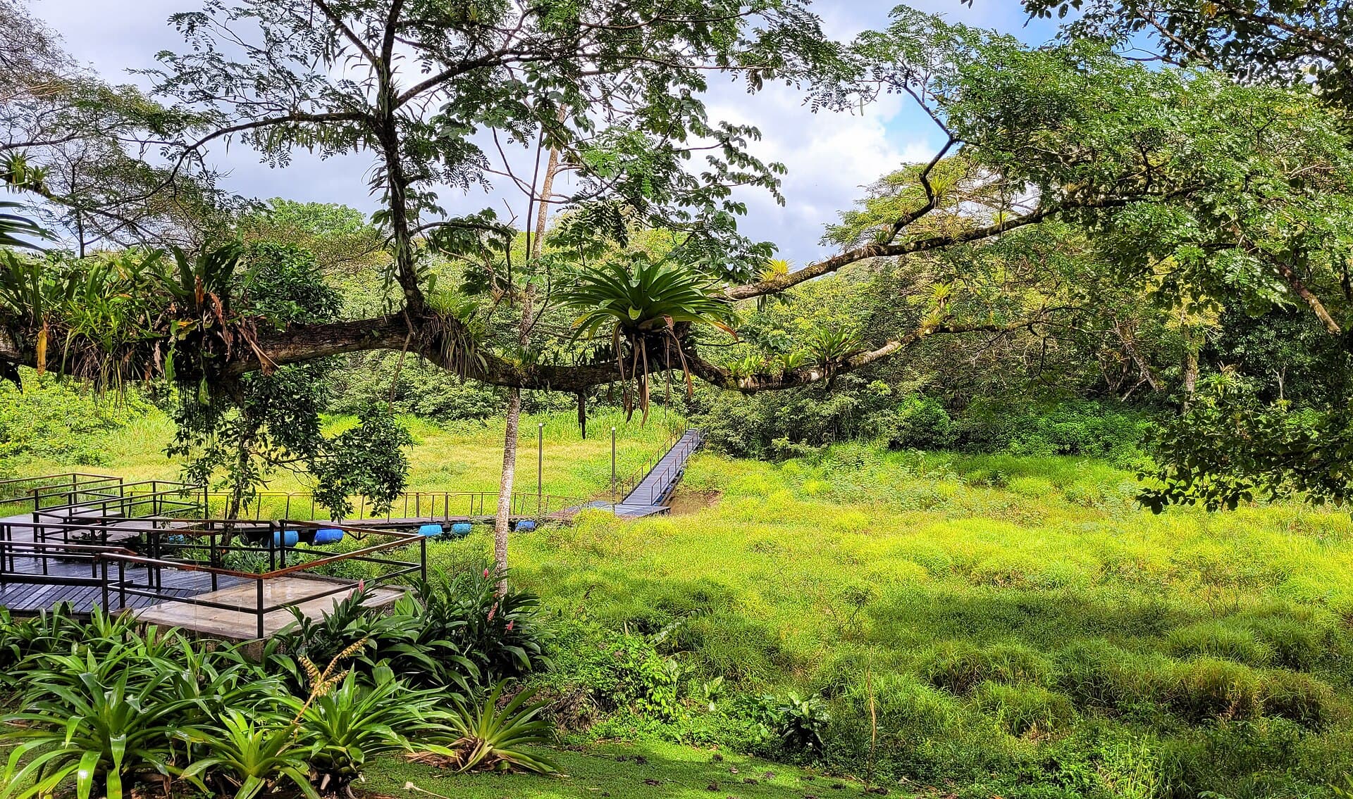 Caño Negro wildlife refuge