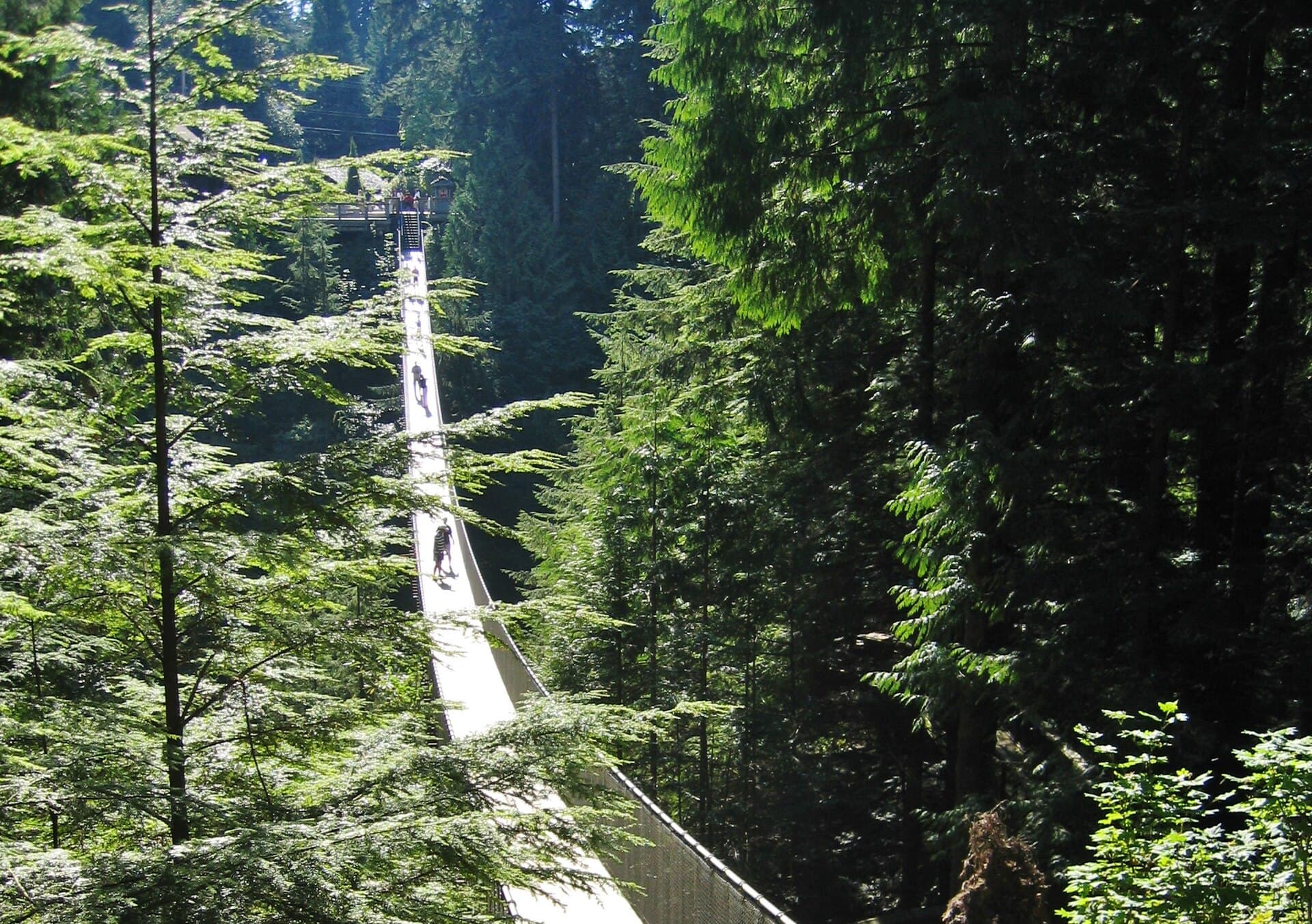 Capilano Suspension Bridge