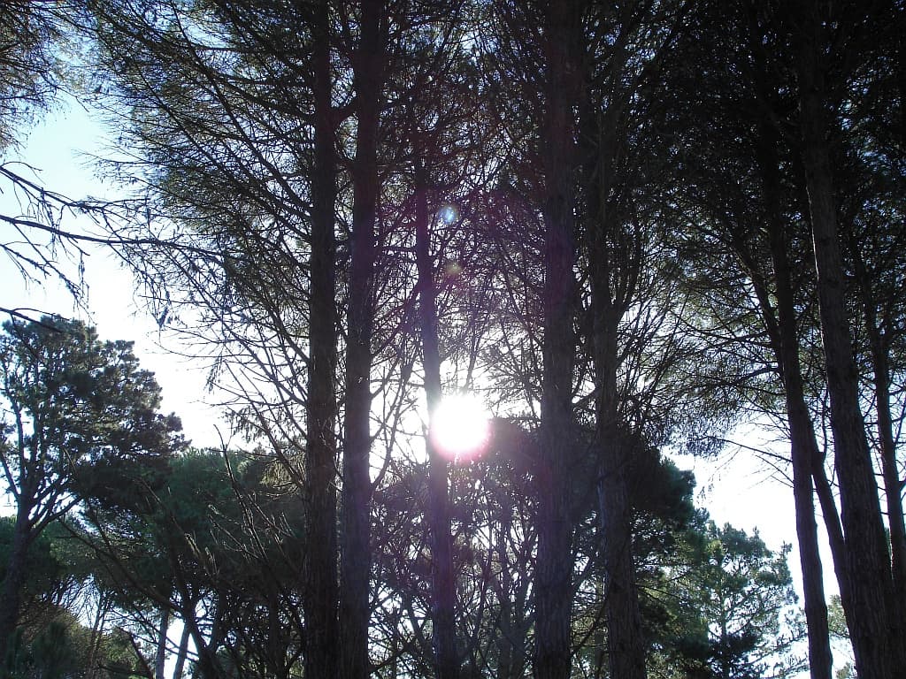 Cariló, Pinamar