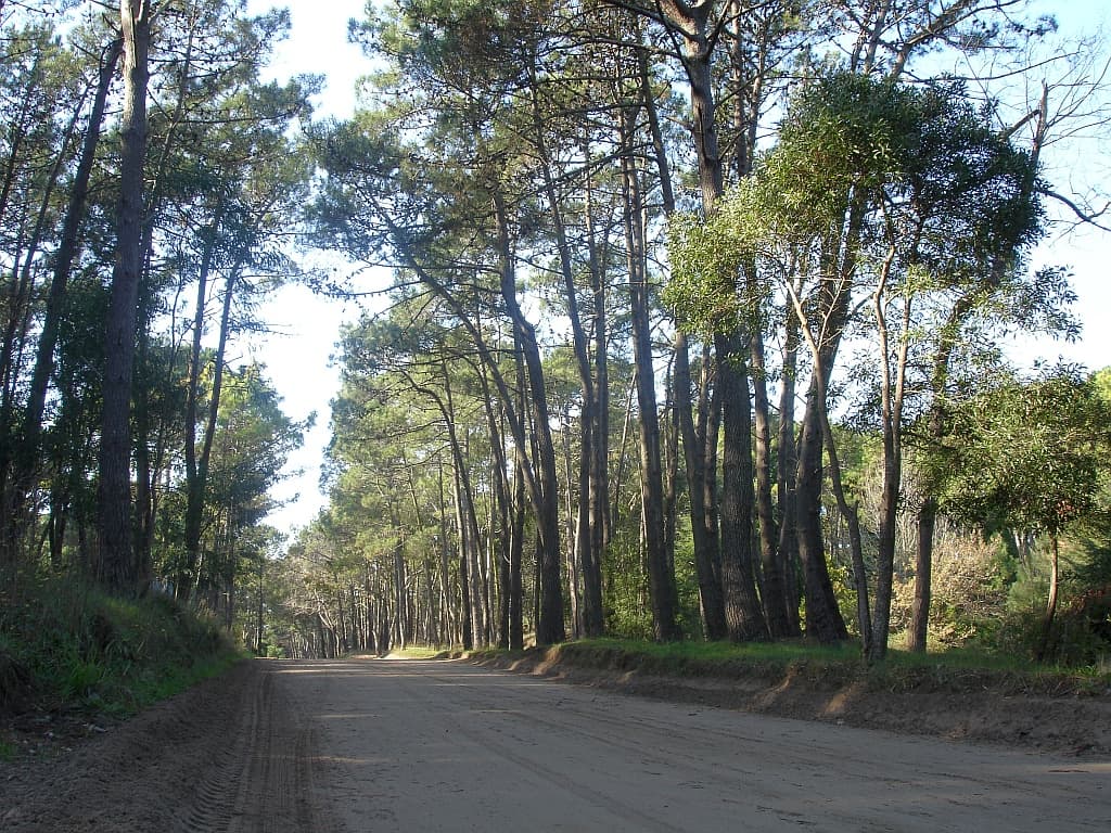 Cariló, Pinamar