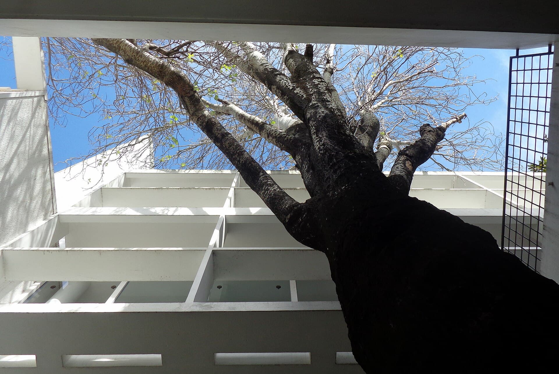 Casa Curutchet (Le Corbusier), Buenos Aires