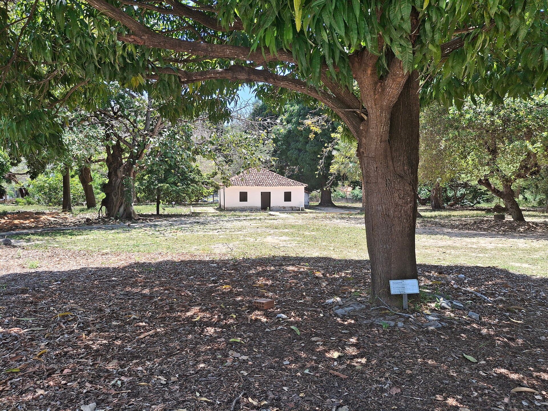 Casa de José de Alencar, Fortaleza