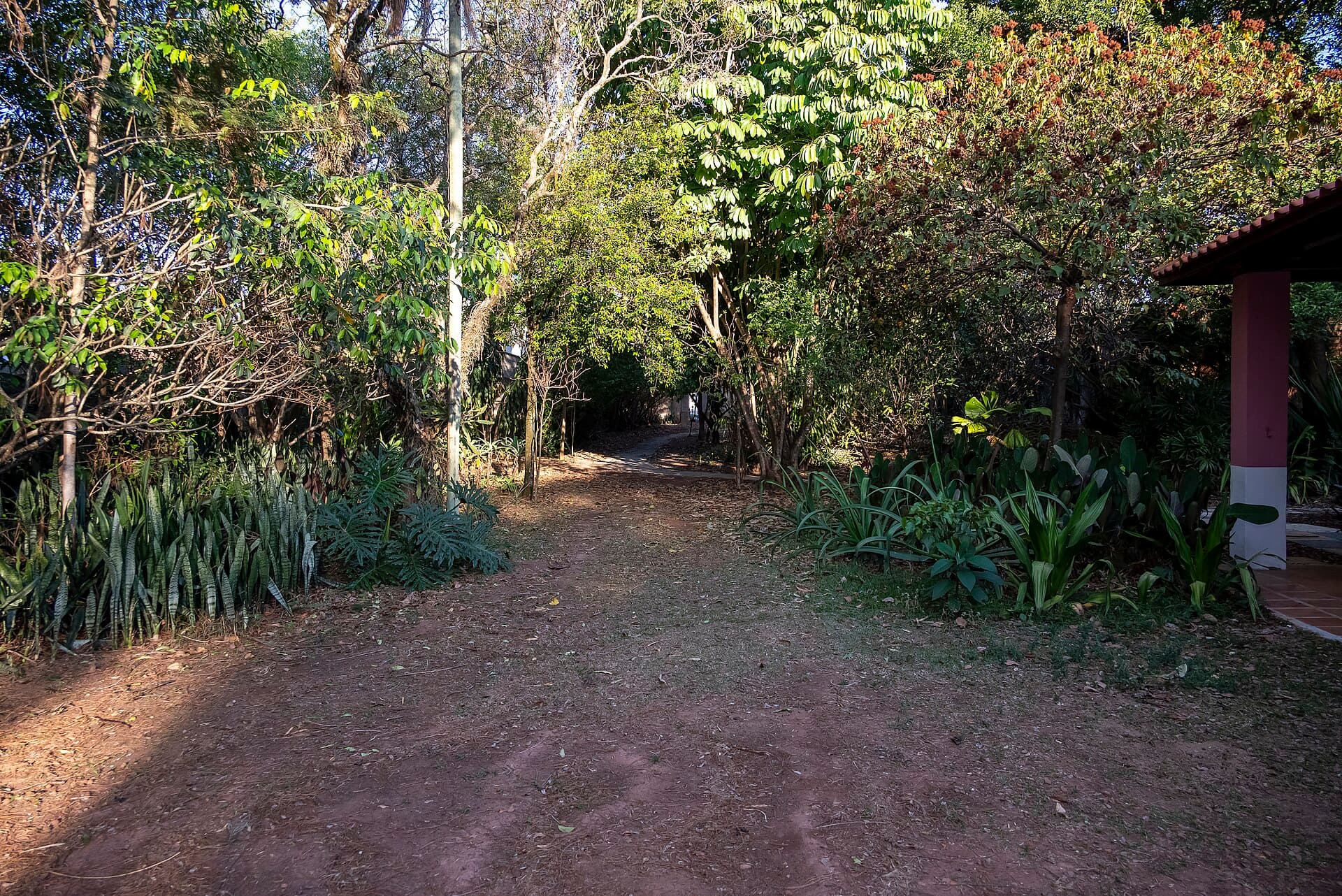 Casa do Sol (Hilda Hilst House), Campinas
