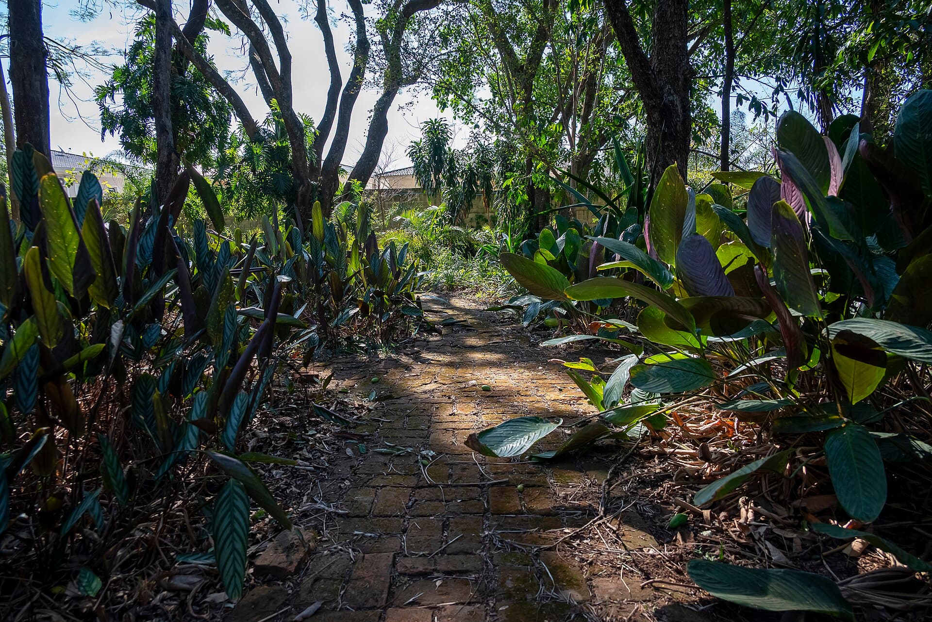 Casa do Sol (Hilda Hilst House), Campinas