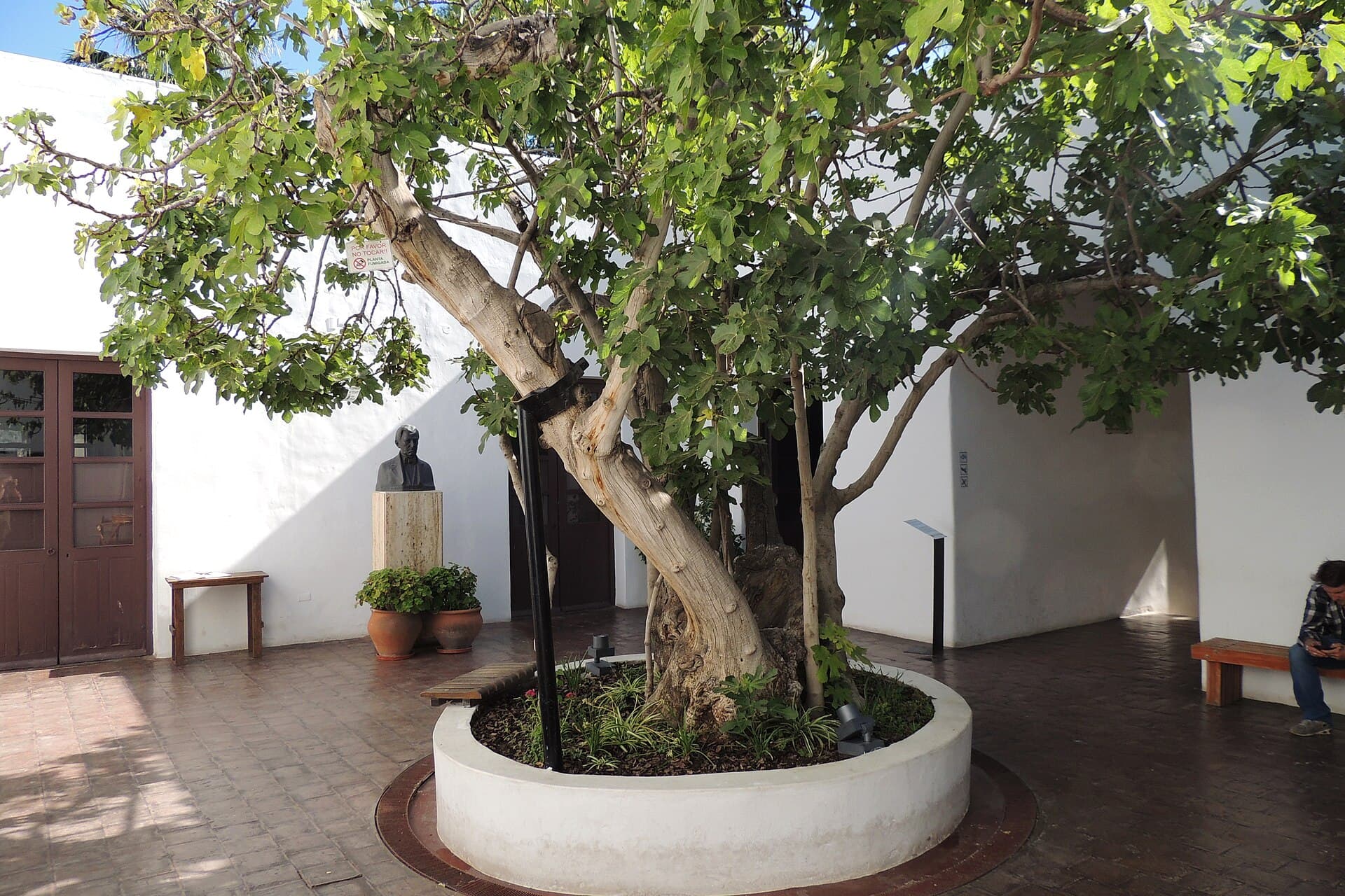 Casa Natal de Sarmiento (Sarmiento's Birthplace), San Juan