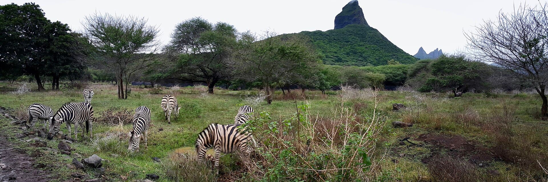 Casela Nature Park