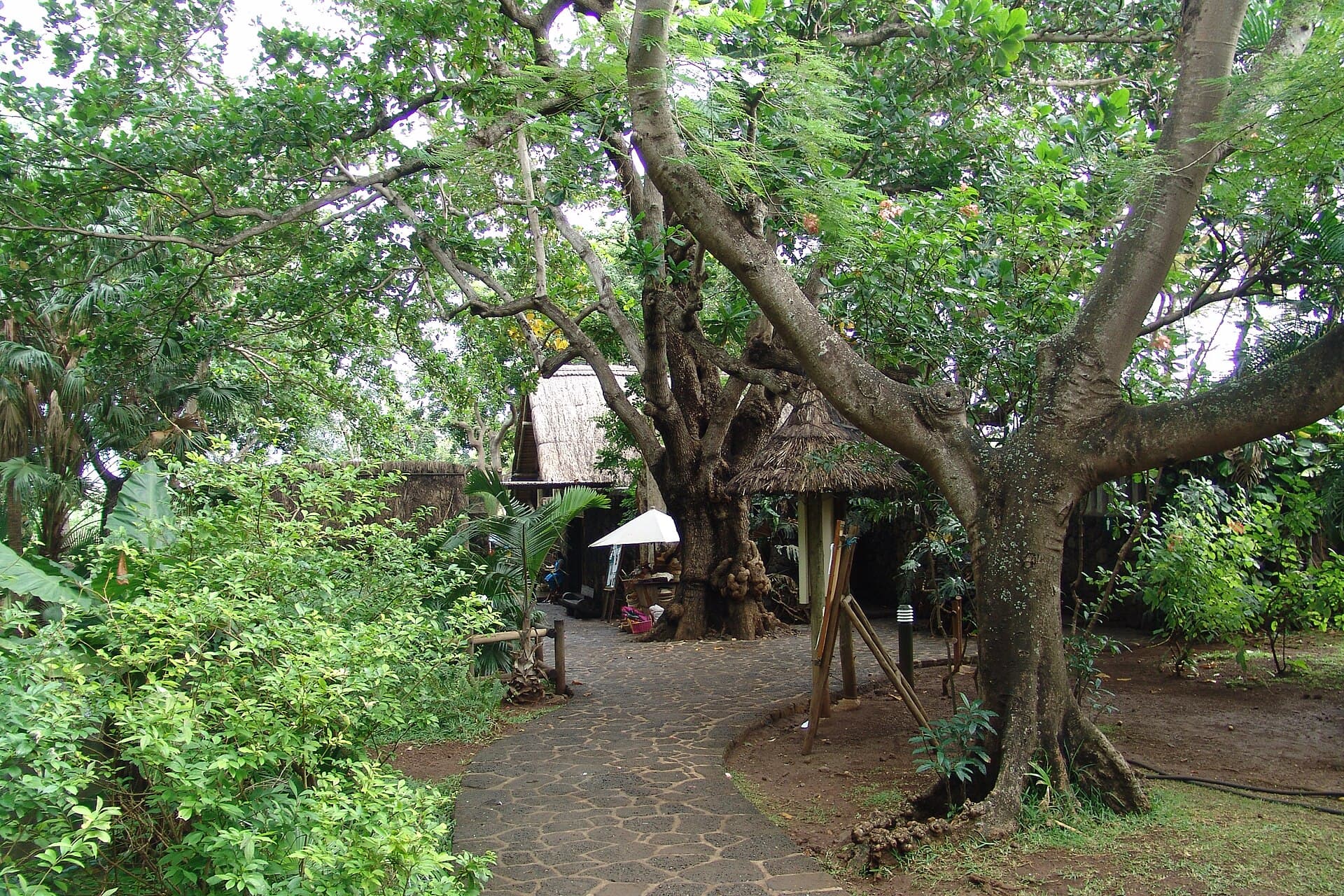 Casela Nature Park