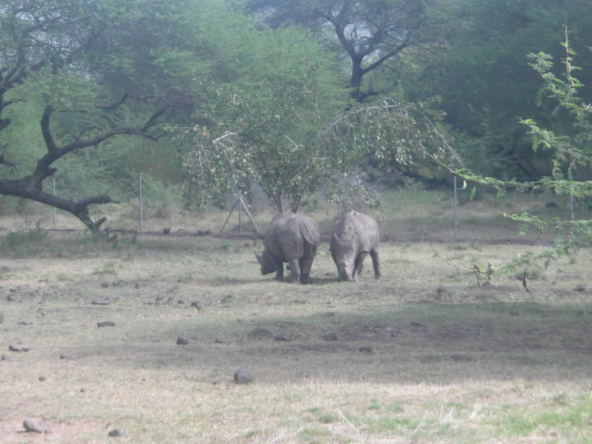 Casela Nature Park