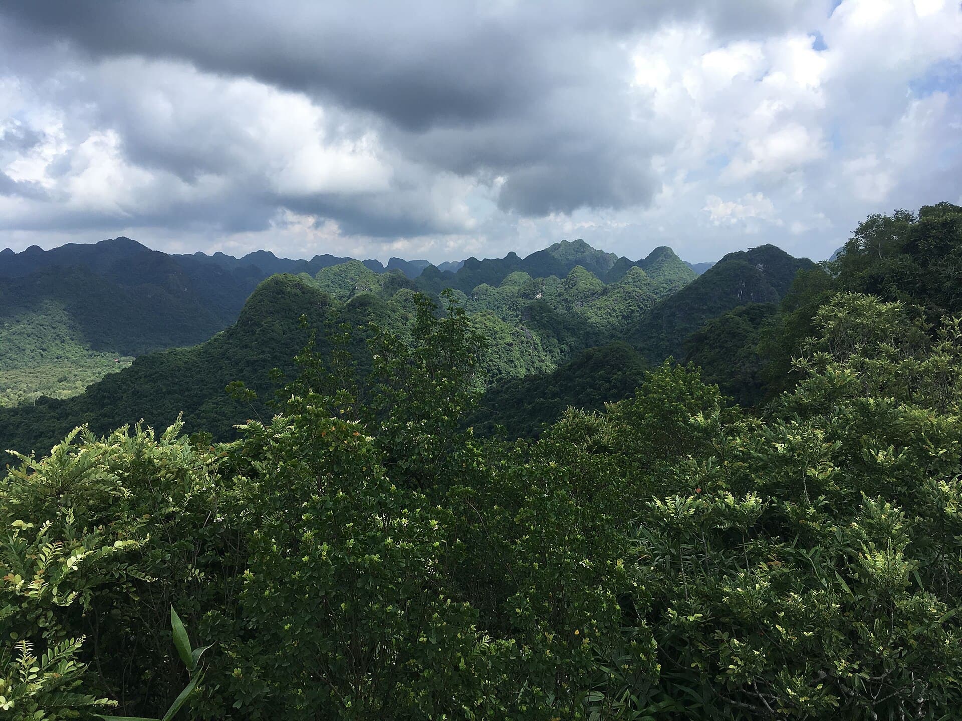 Cat Ba National Park, Cat Ba
