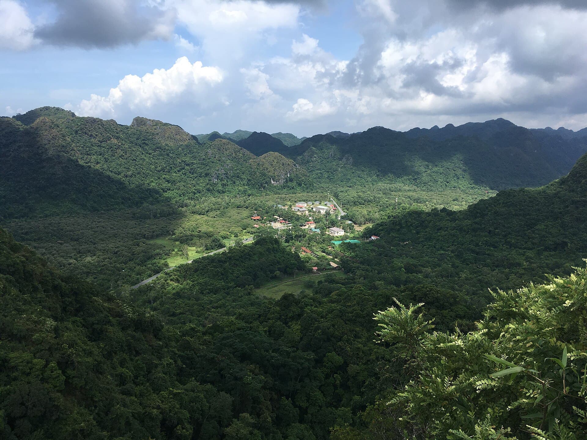 Cat Ba National Park, Cat Ba