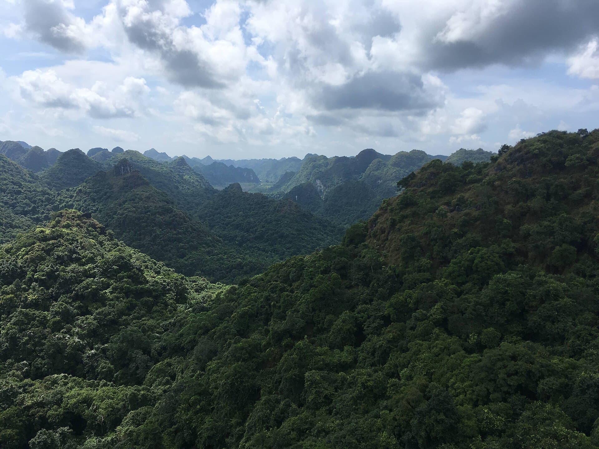 Cat Ba National Park, Cat Ba