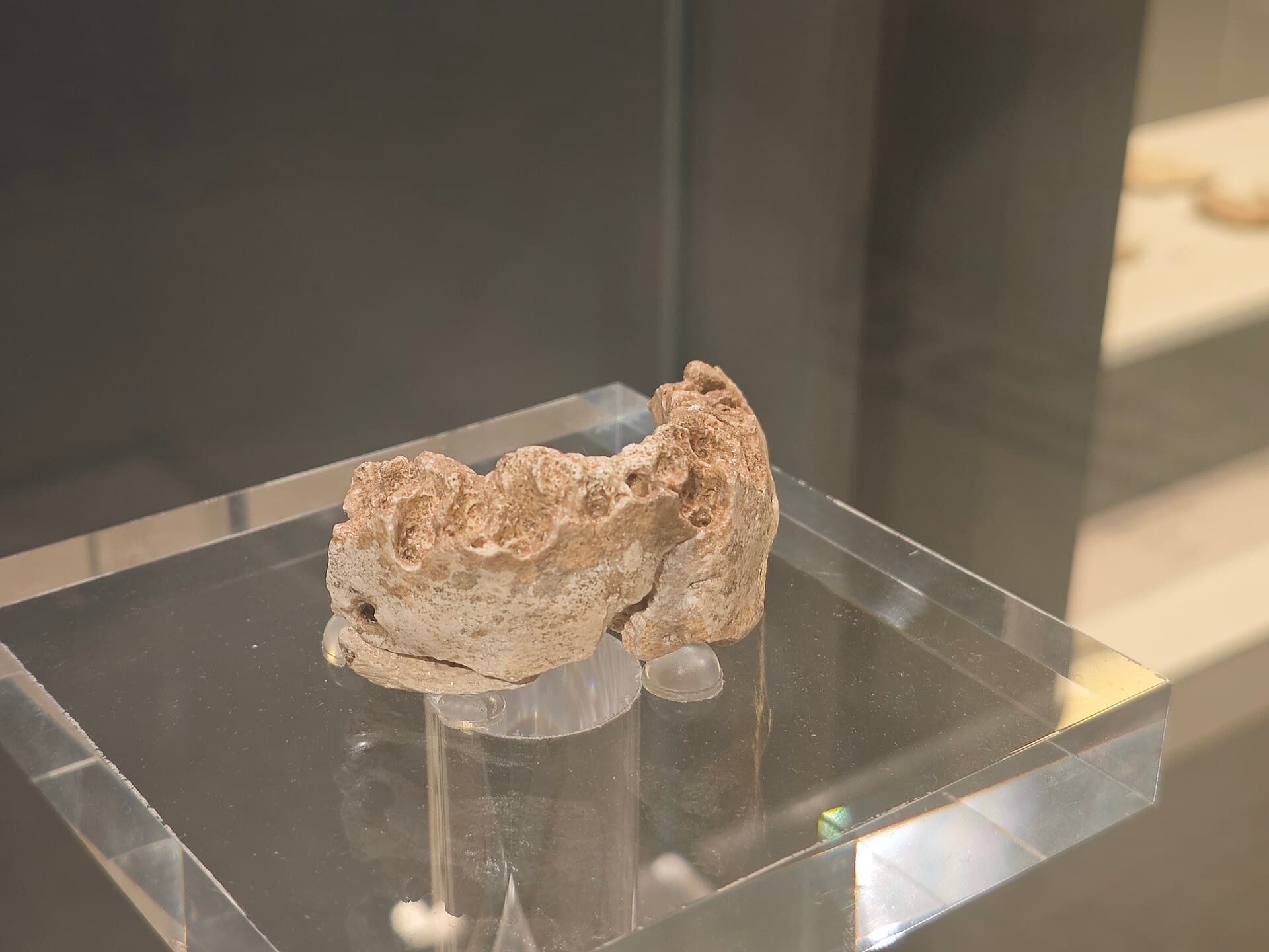 MAC — Archaeology Museum of Catalonia, Barcelona