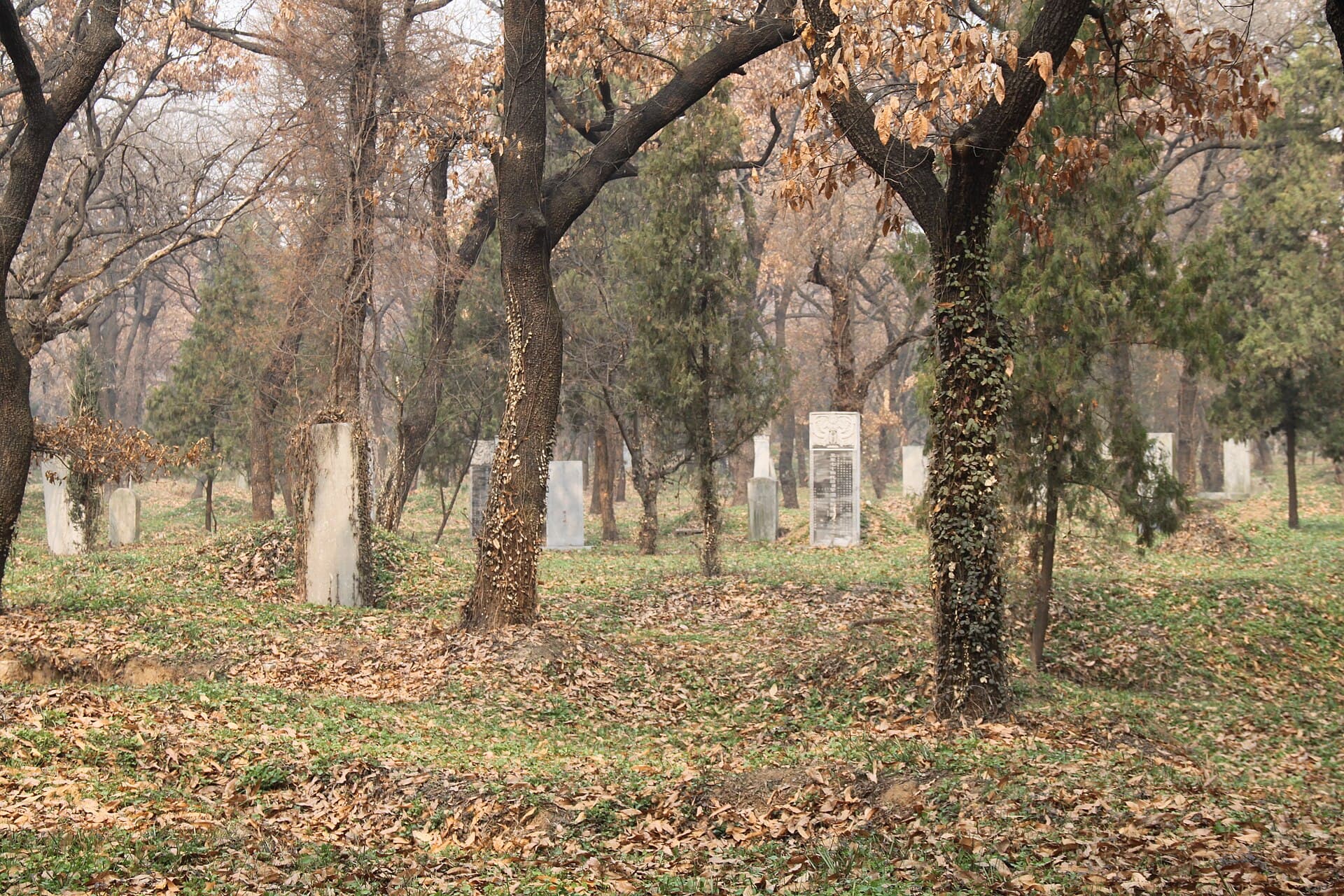 Cemetery of Confucius (Kong Lin)