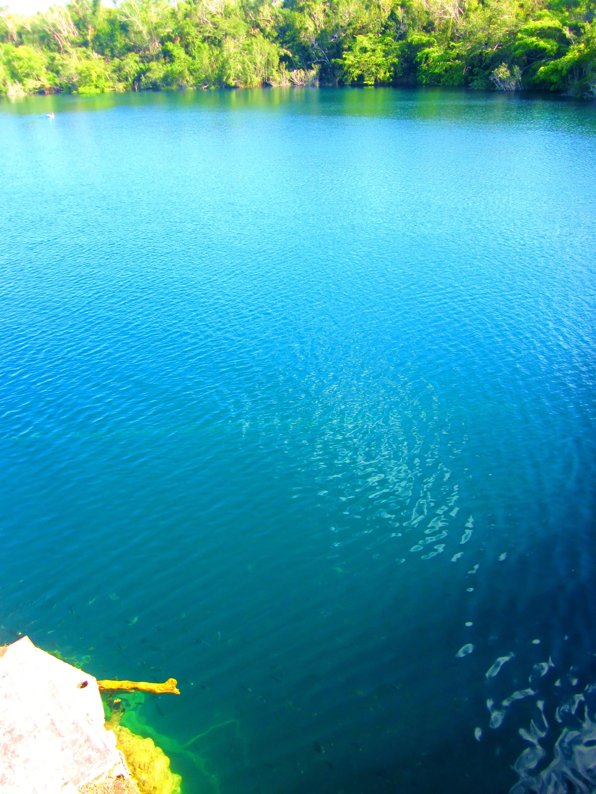 Cenote Azul, Bacalar