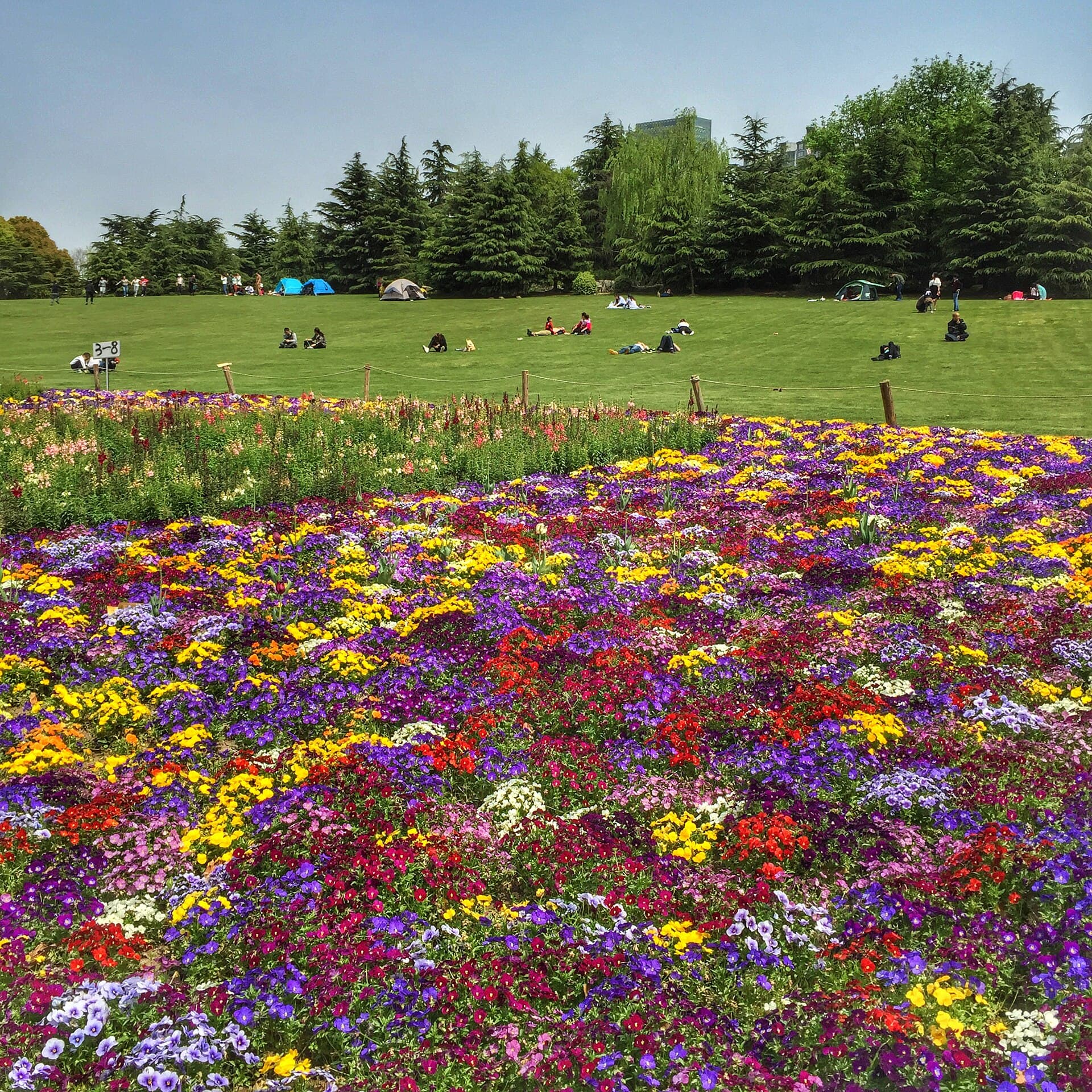 Century Park