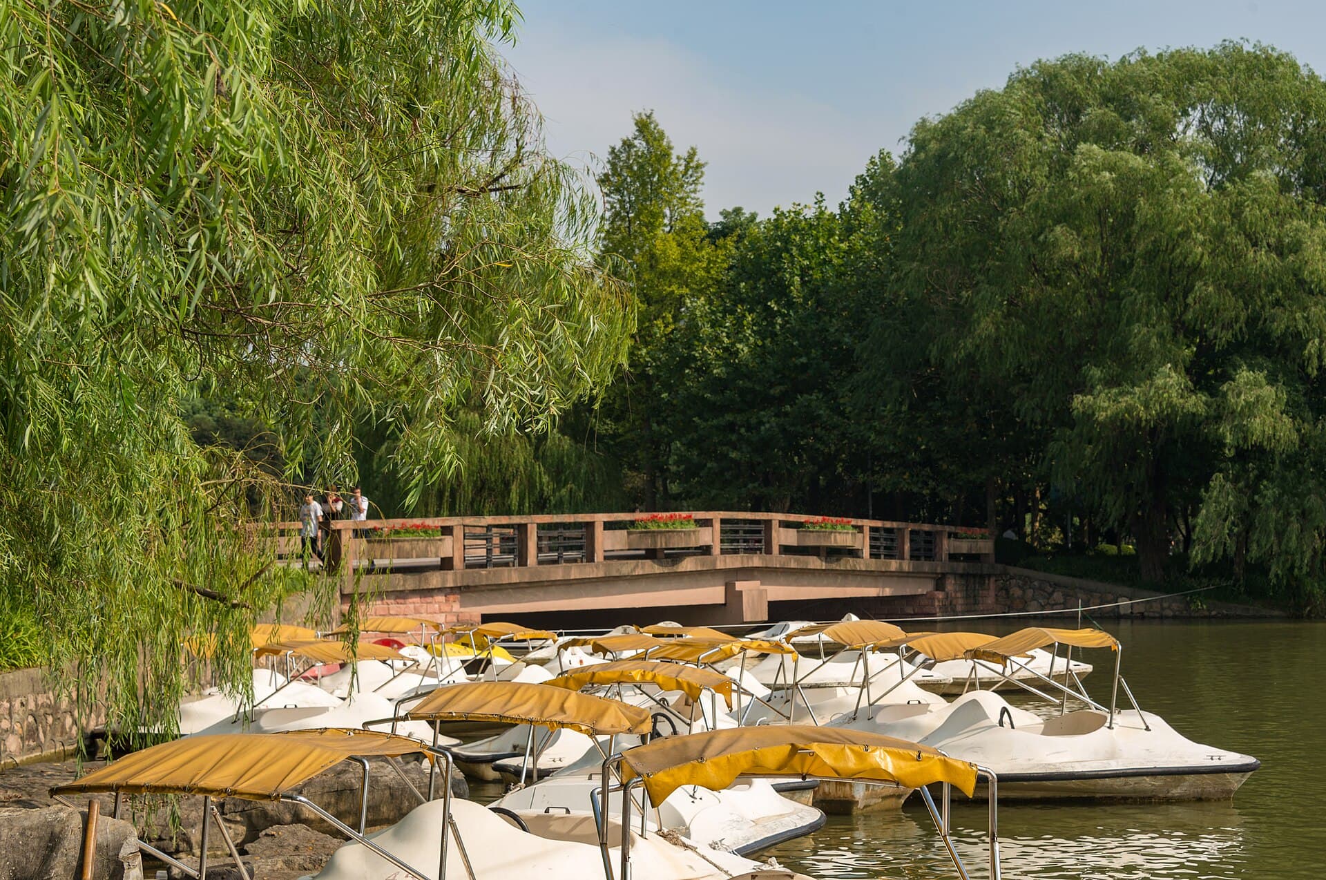 Century Park