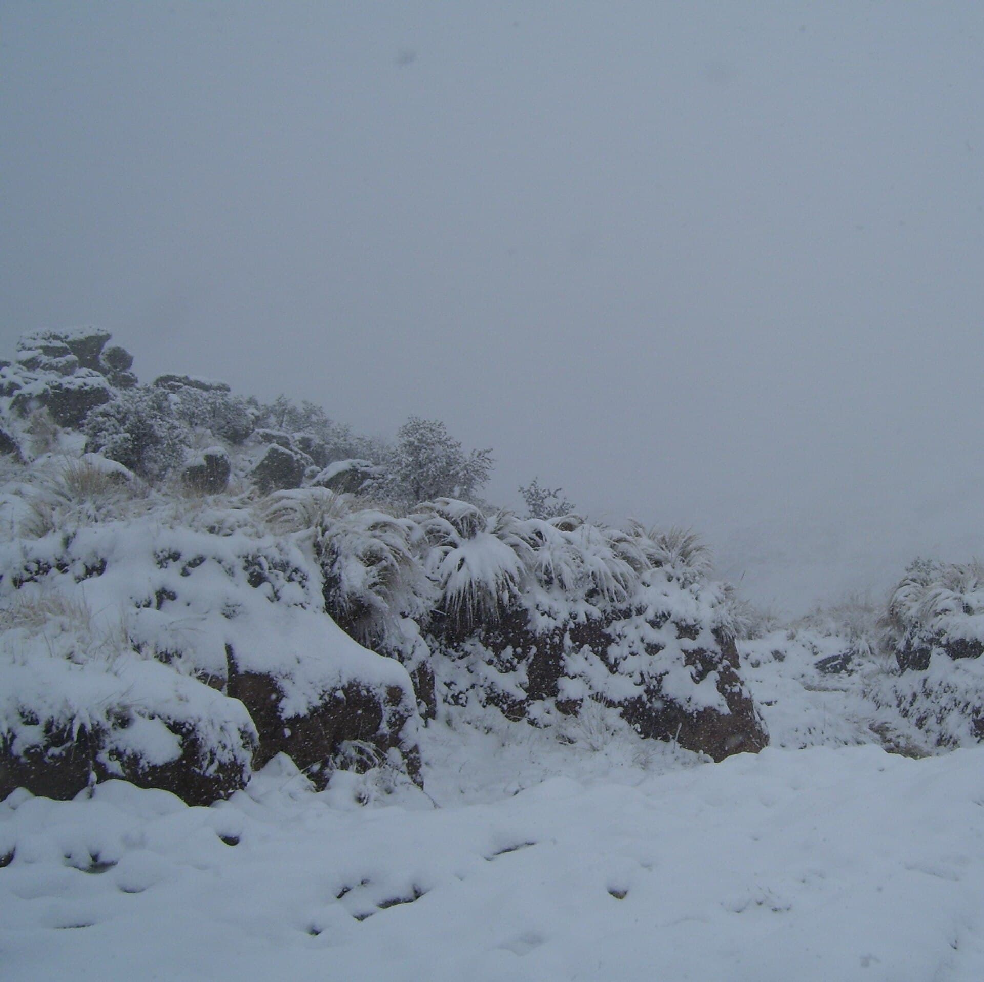 جبل تشامباكي، قرطبة (الأرجنتين)