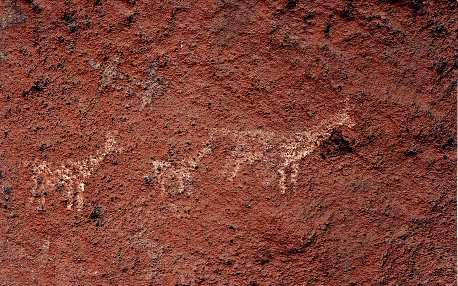 Cerro Colorado Rock Art Reserve, Córdoba