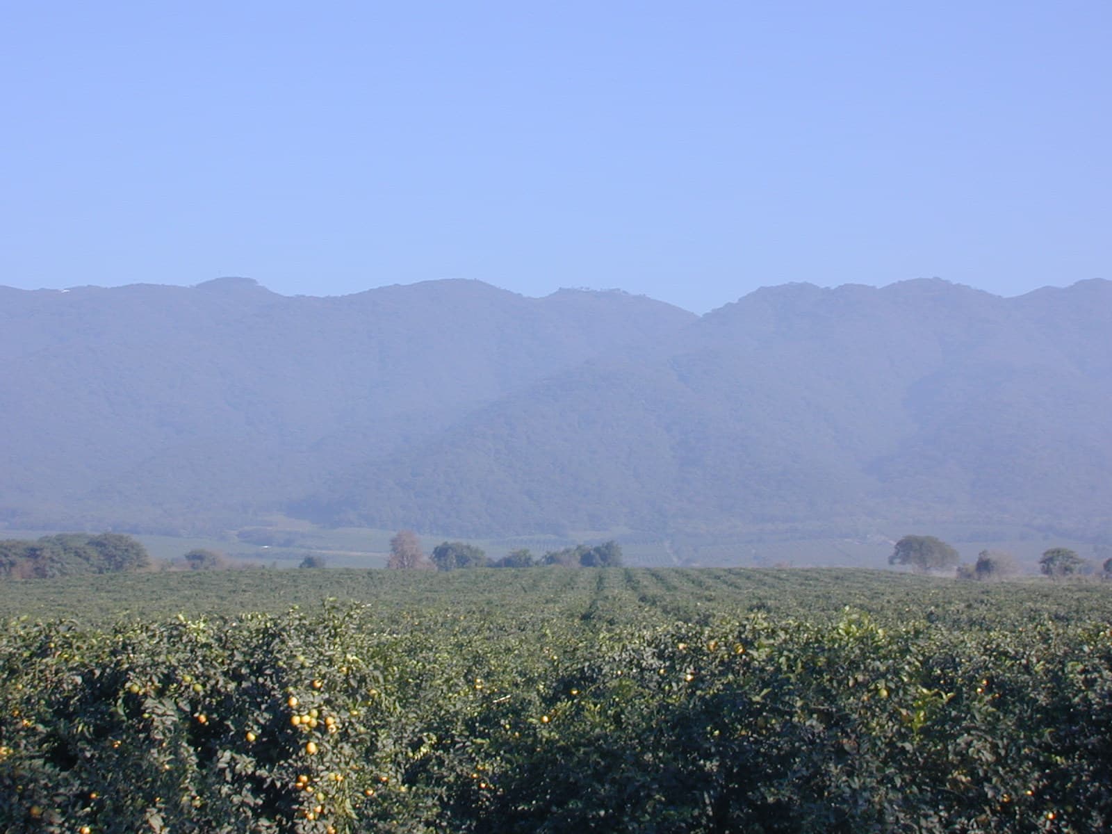 جبل سان خافيير، توكومان
