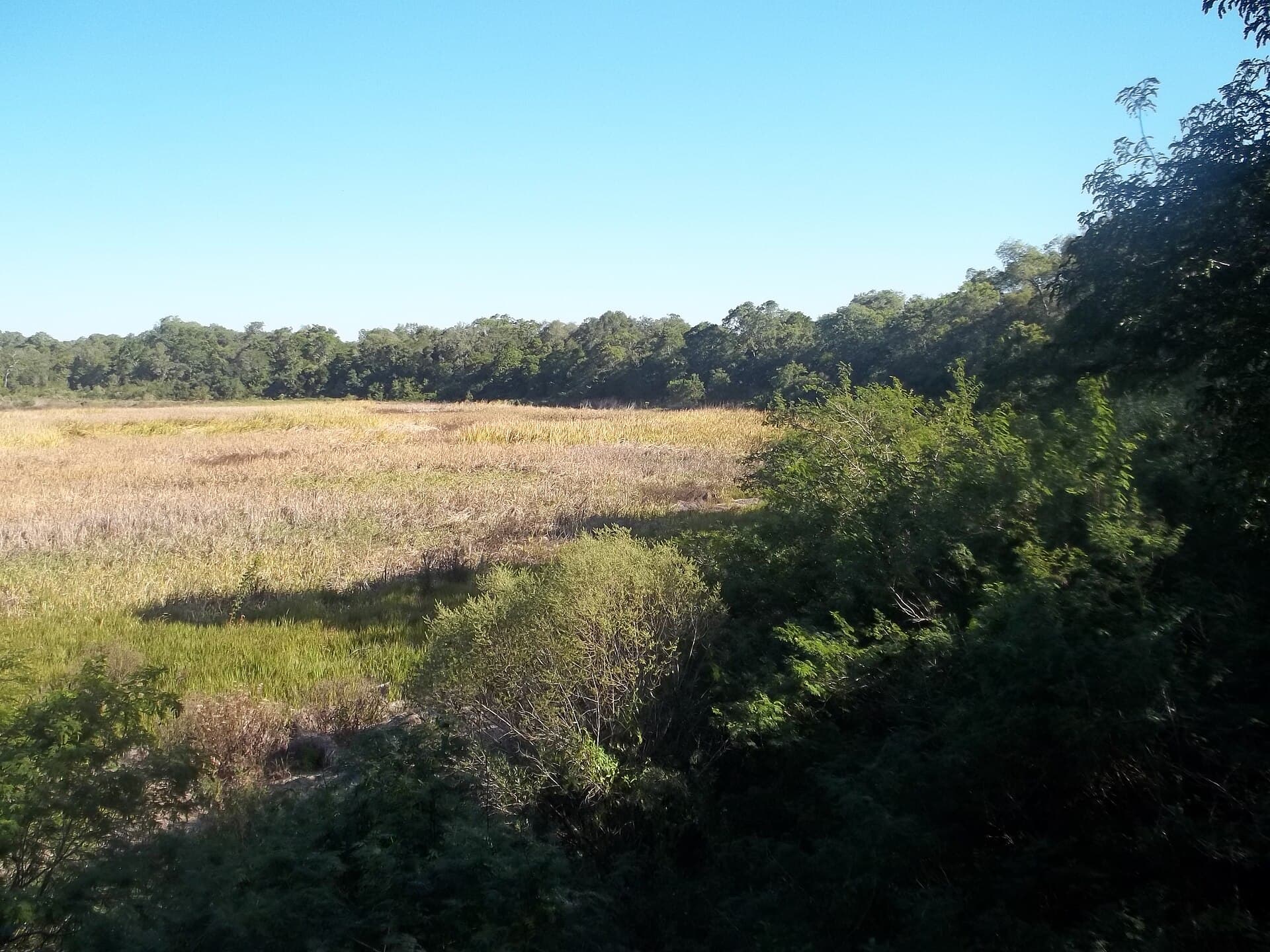 Chaco National Park, Corrientes